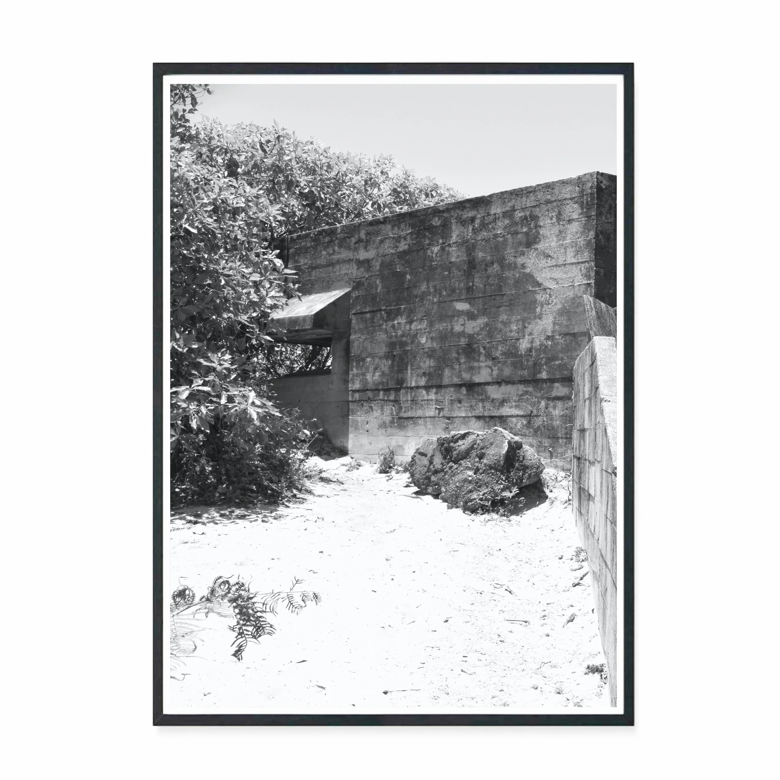Rous Bunker.jpg