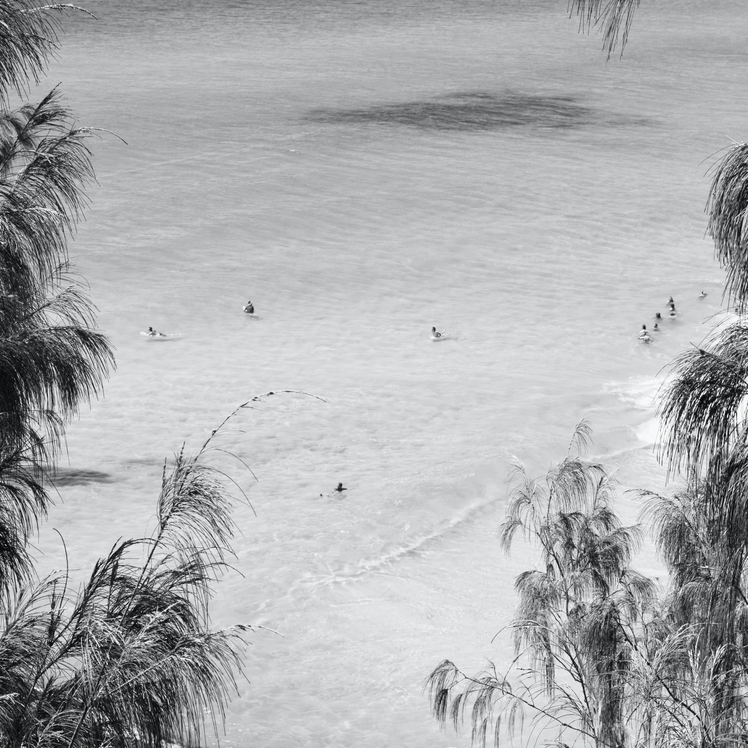 Shallows II 2.jpg