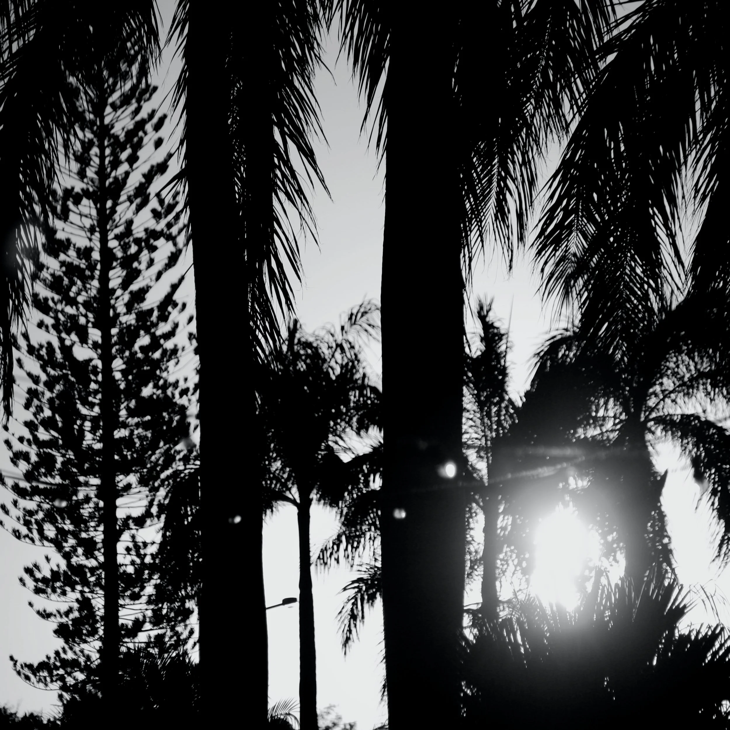 Mackay Sky 2.jpg
