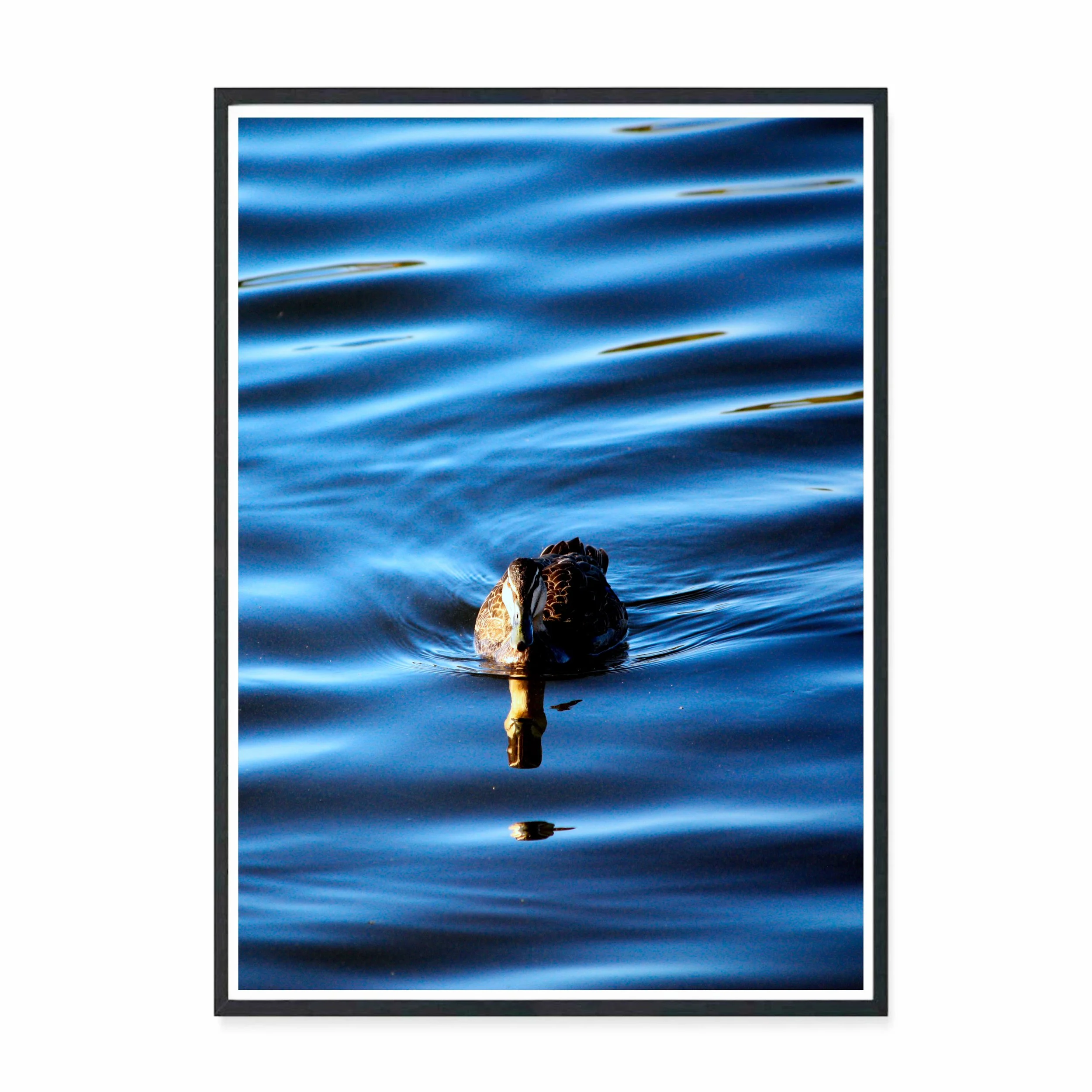 Ripples.jpg