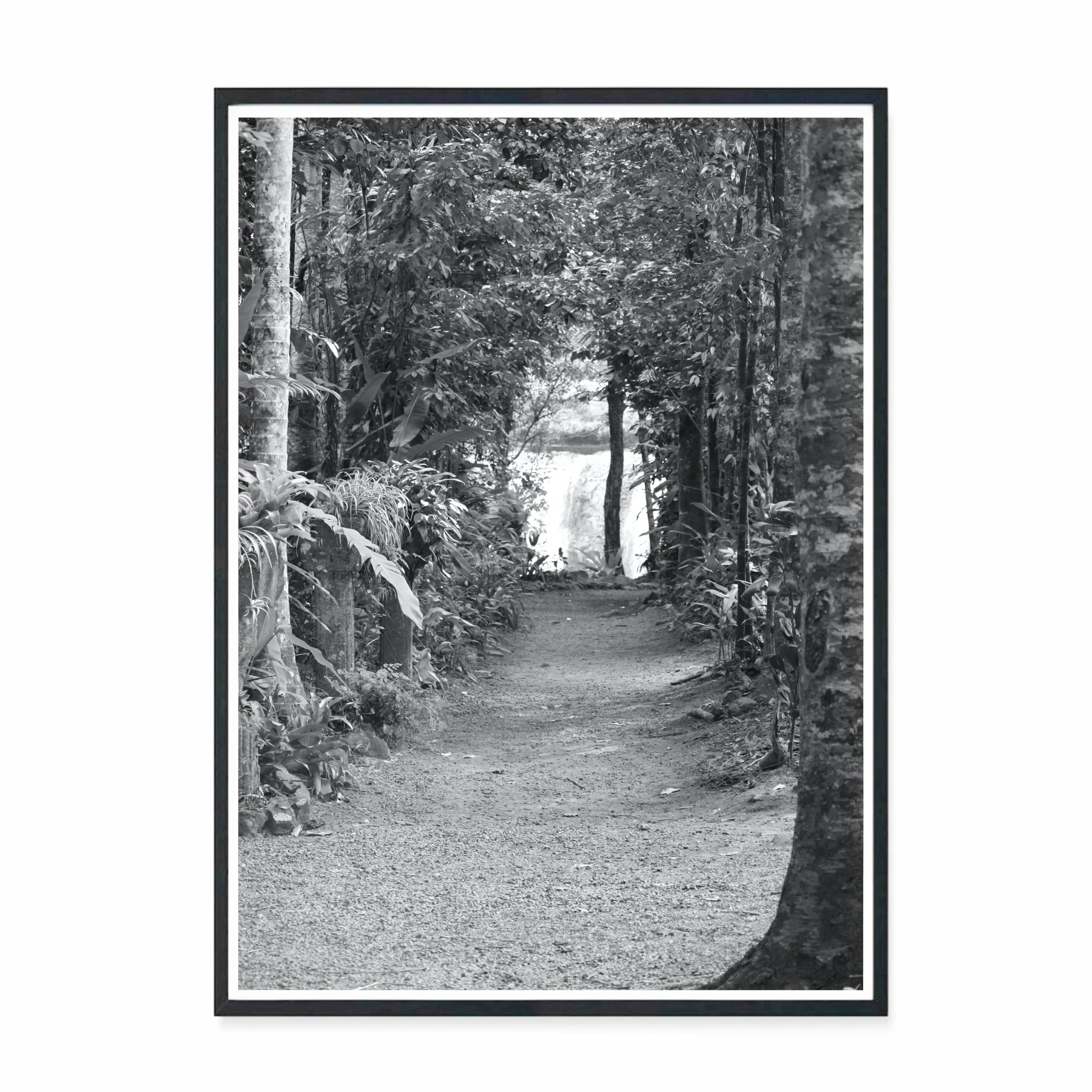 Paronella Path.jpg