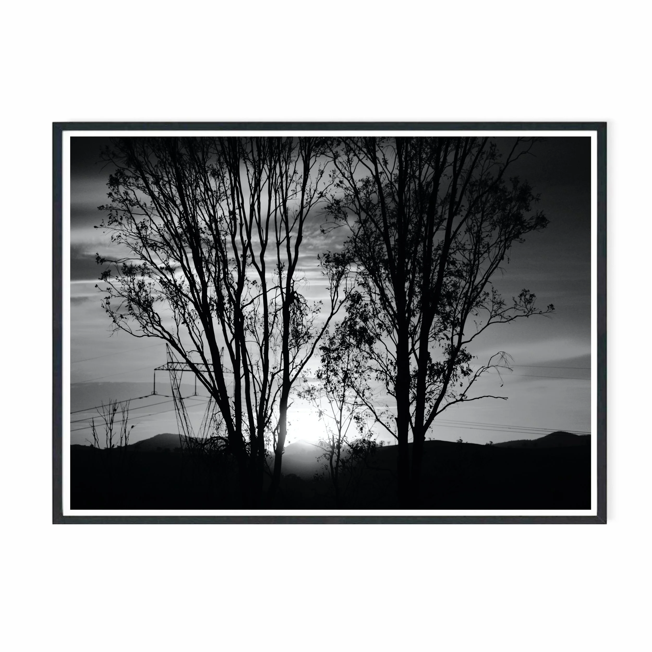 Home Sky.jpg