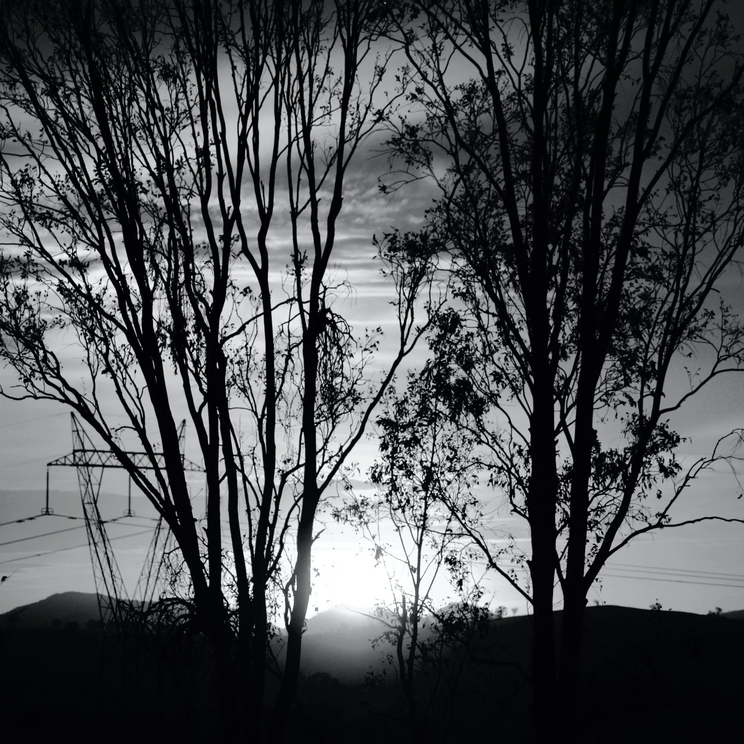 Home Sky 2.jpg