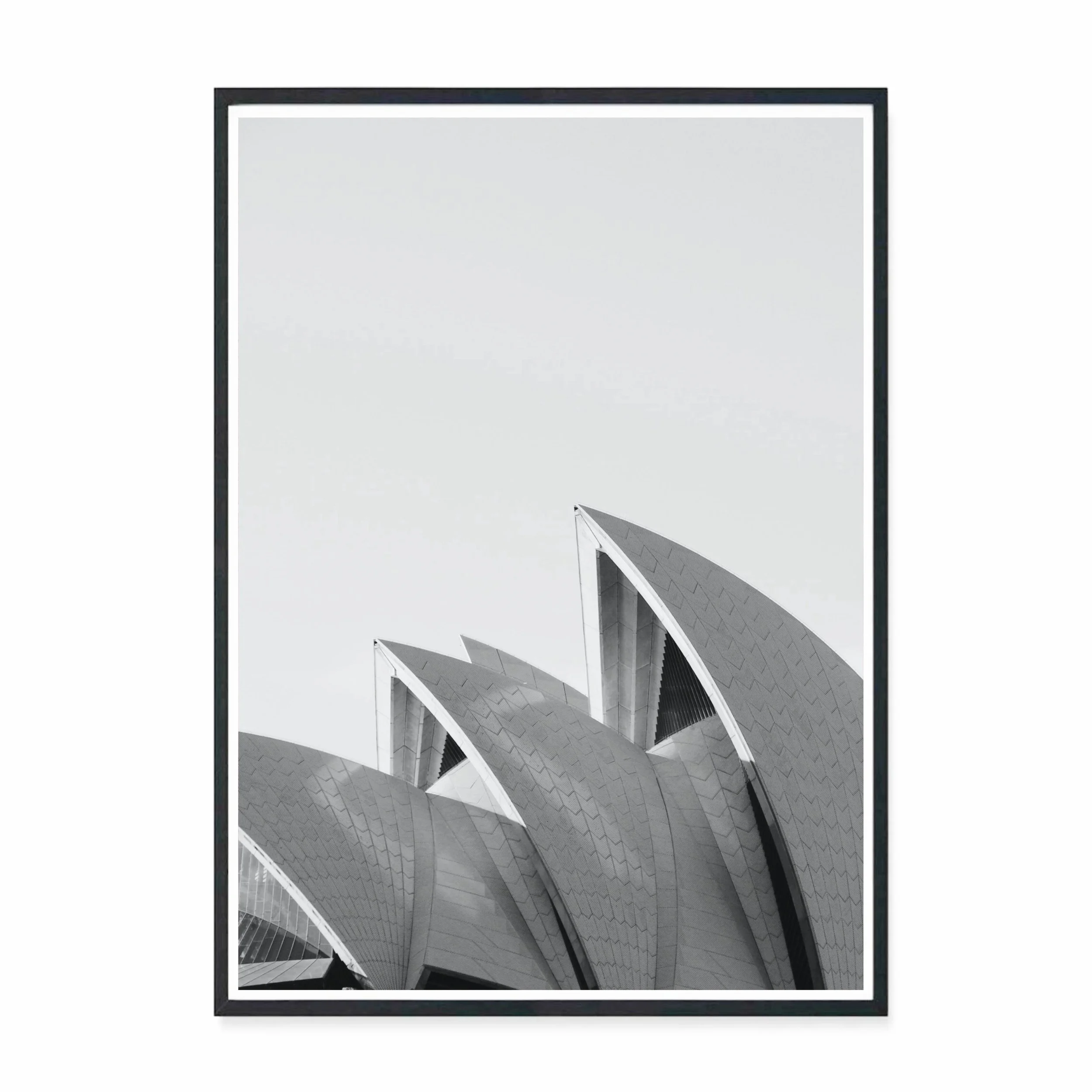 Opera Dawn BW