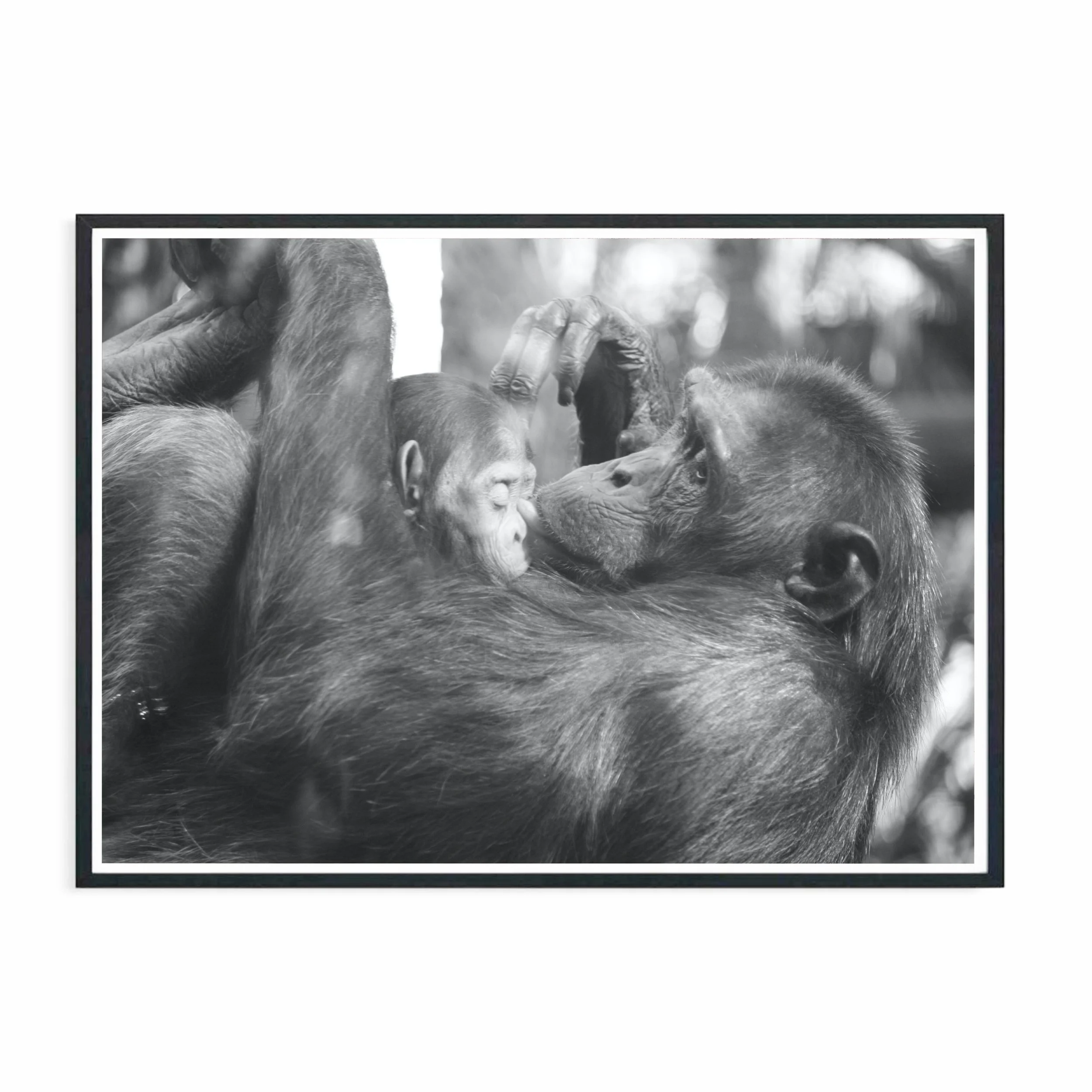 Maternal Instinct II