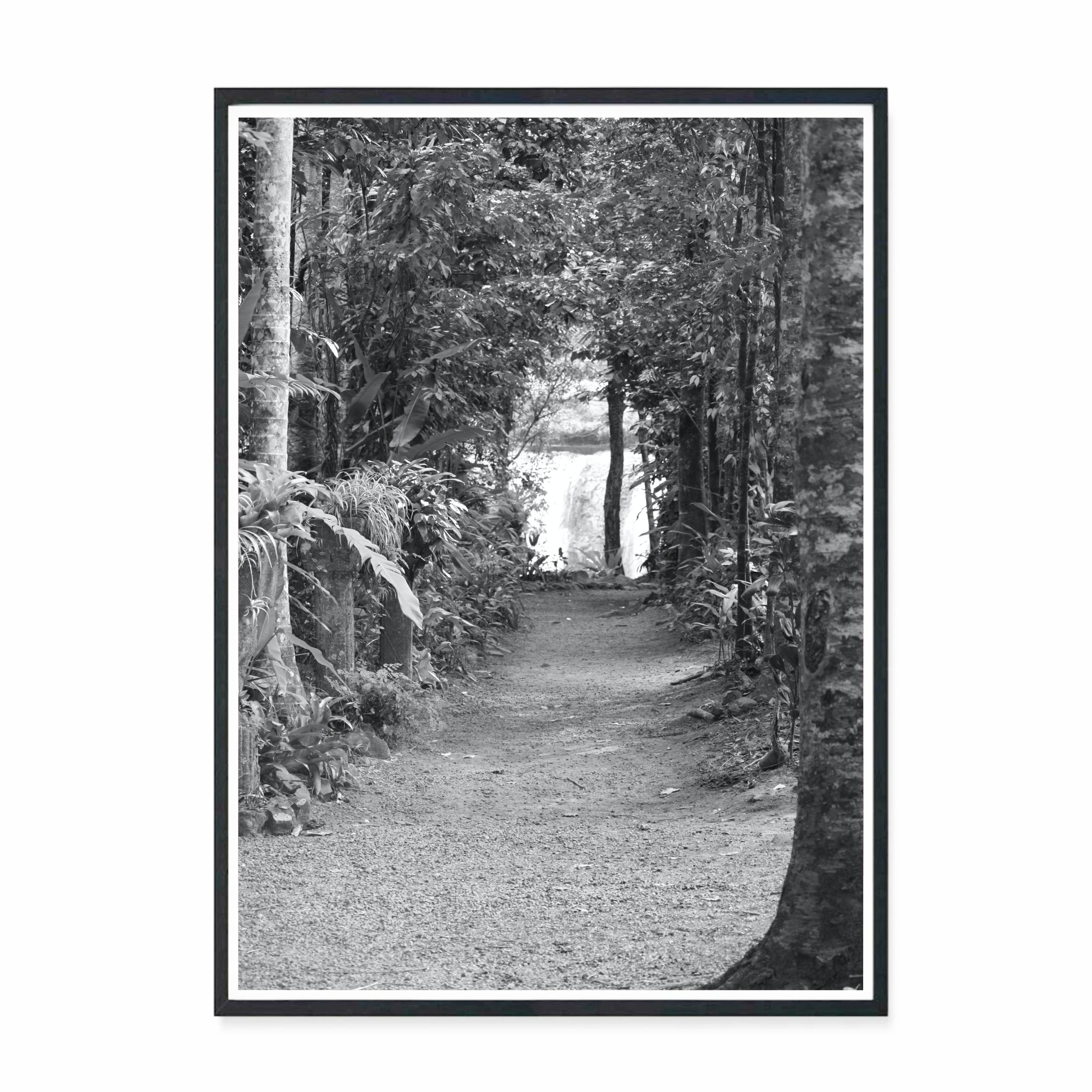 Paronella Path