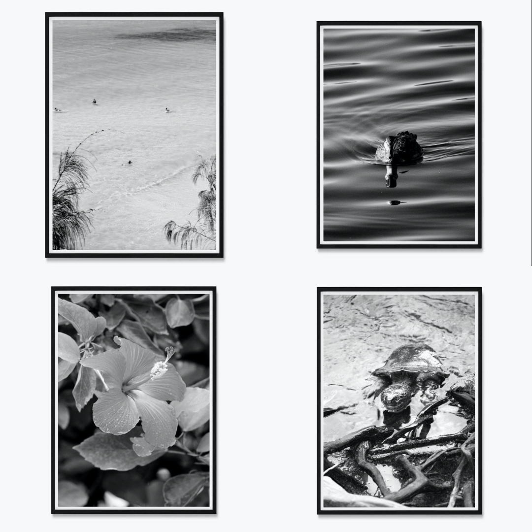 Black, White &amp; Beyond