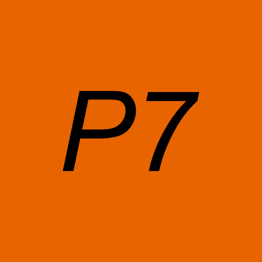 Project 7 Bronze