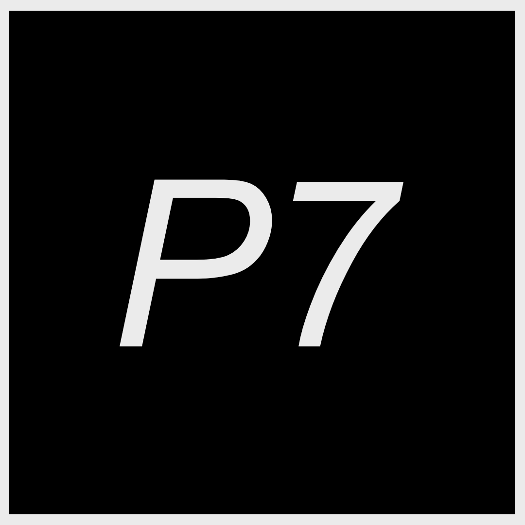 Project 7 Silver - Black Edition