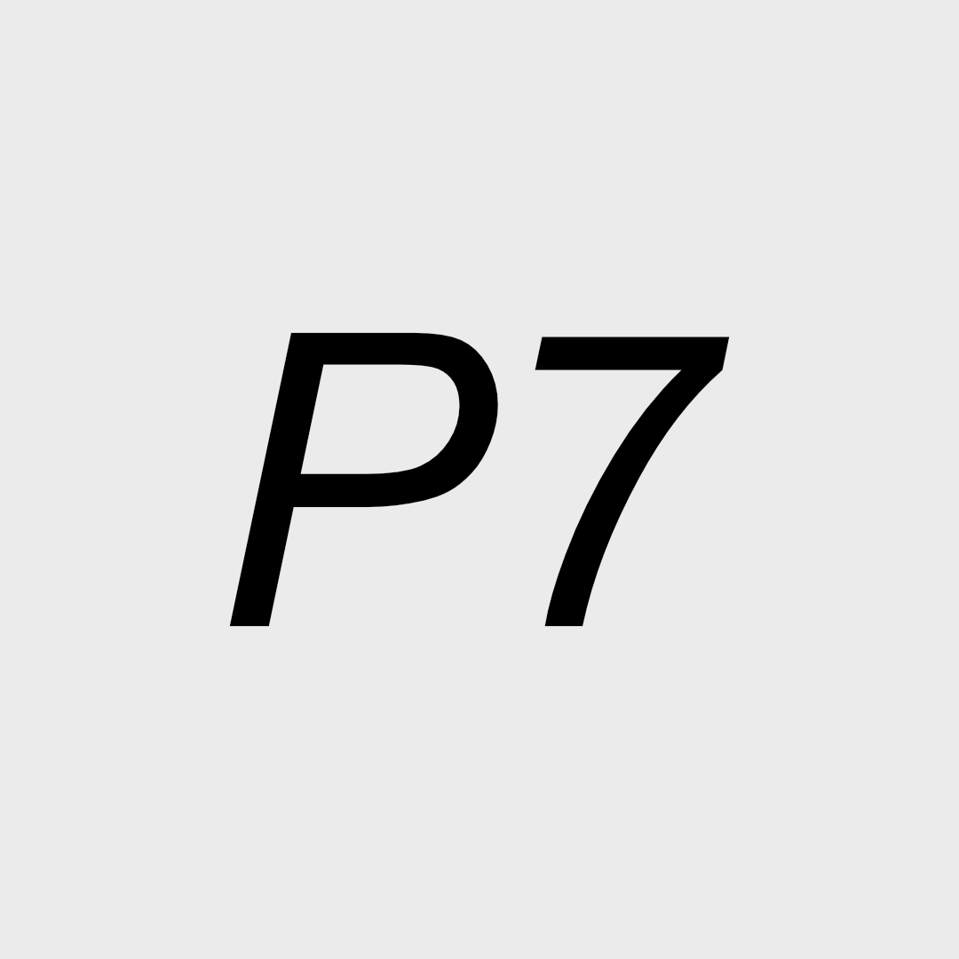 Project 7 Silver
