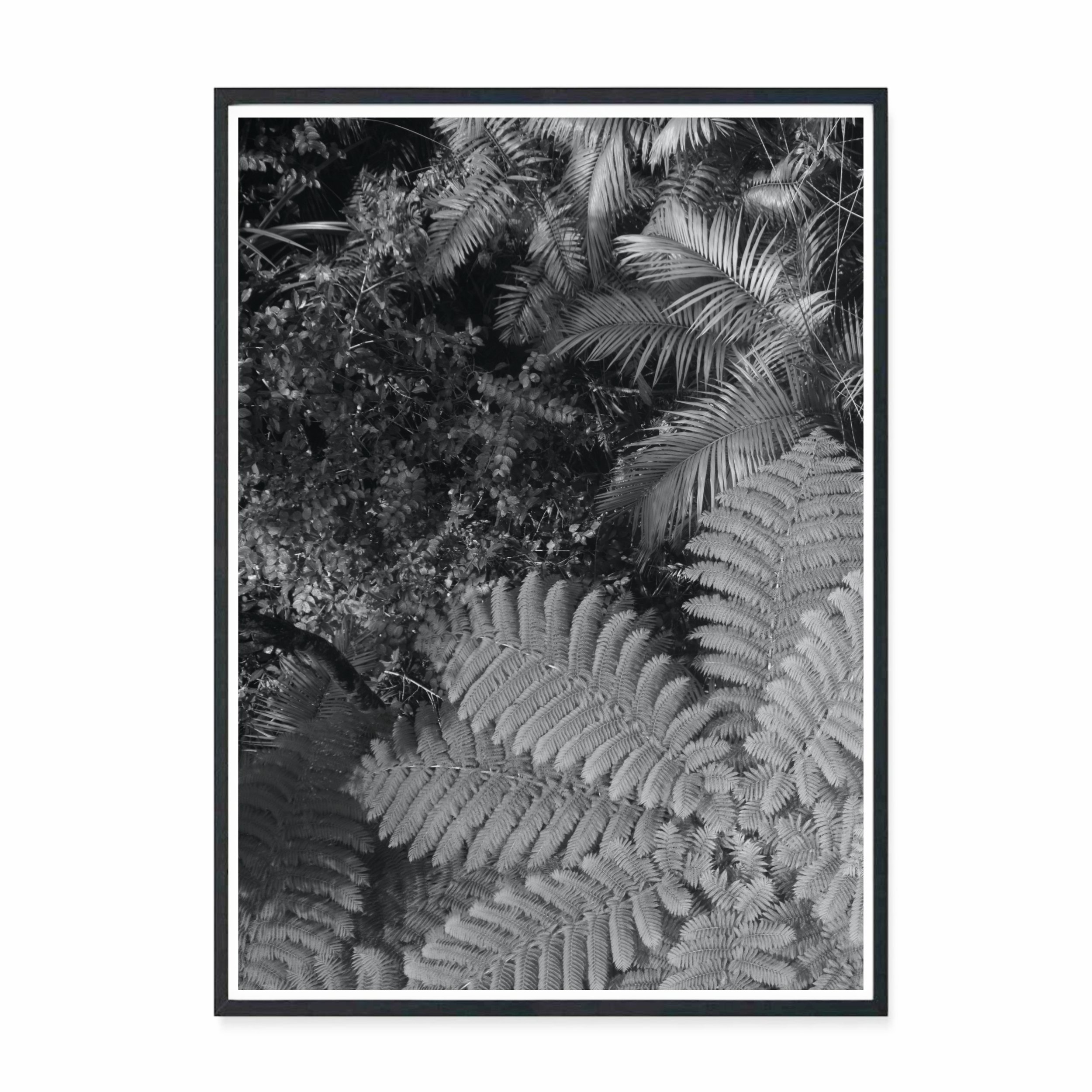 Canopy Textures