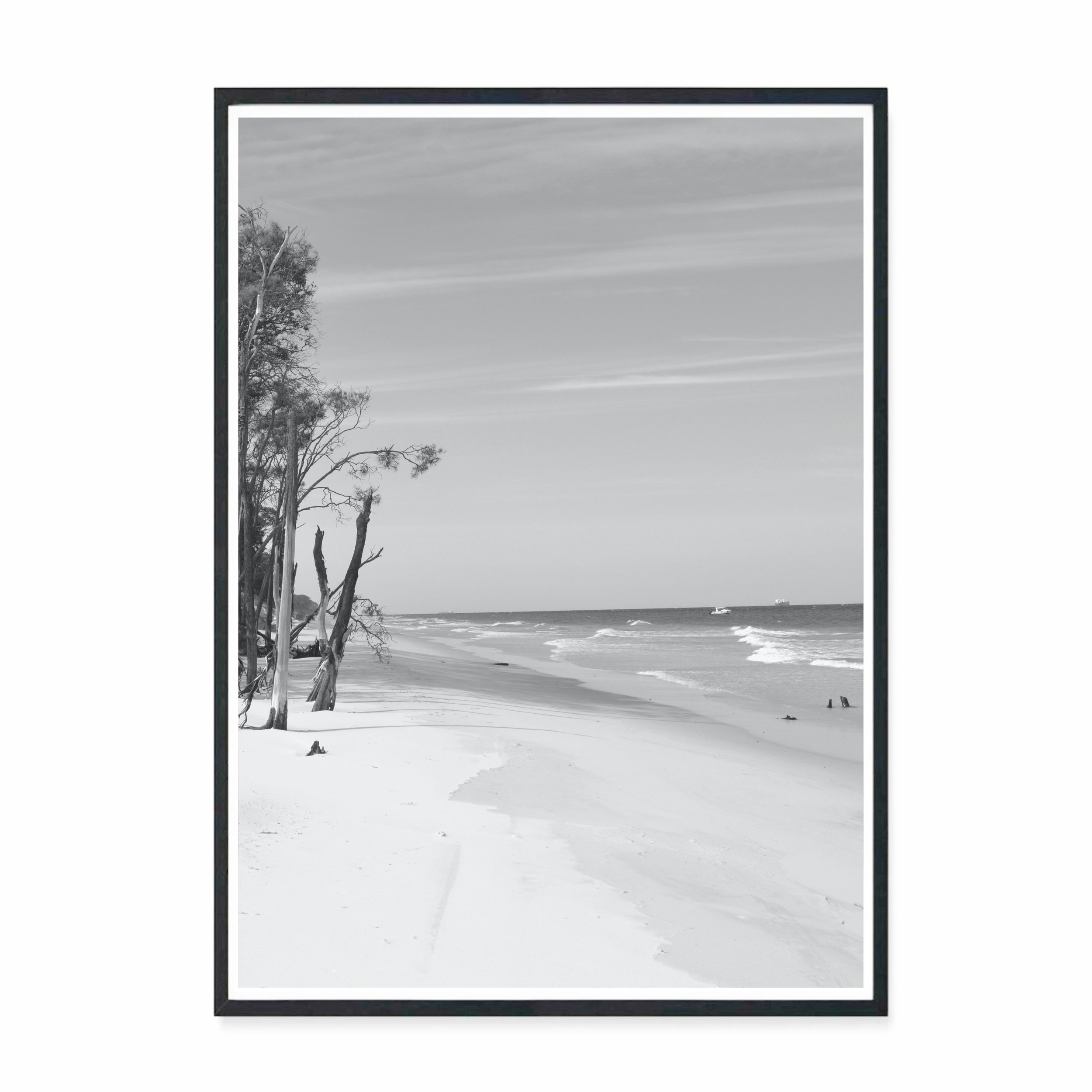 Shoreline