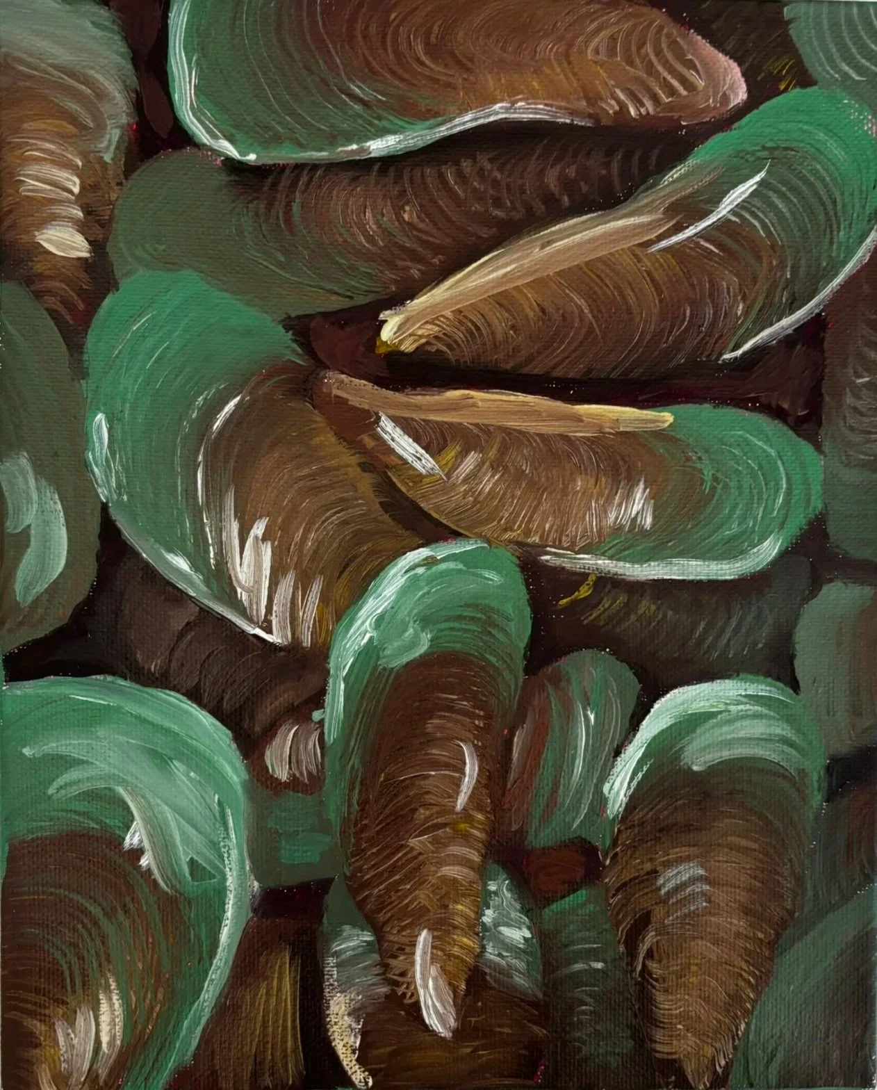 Oyster Shells
