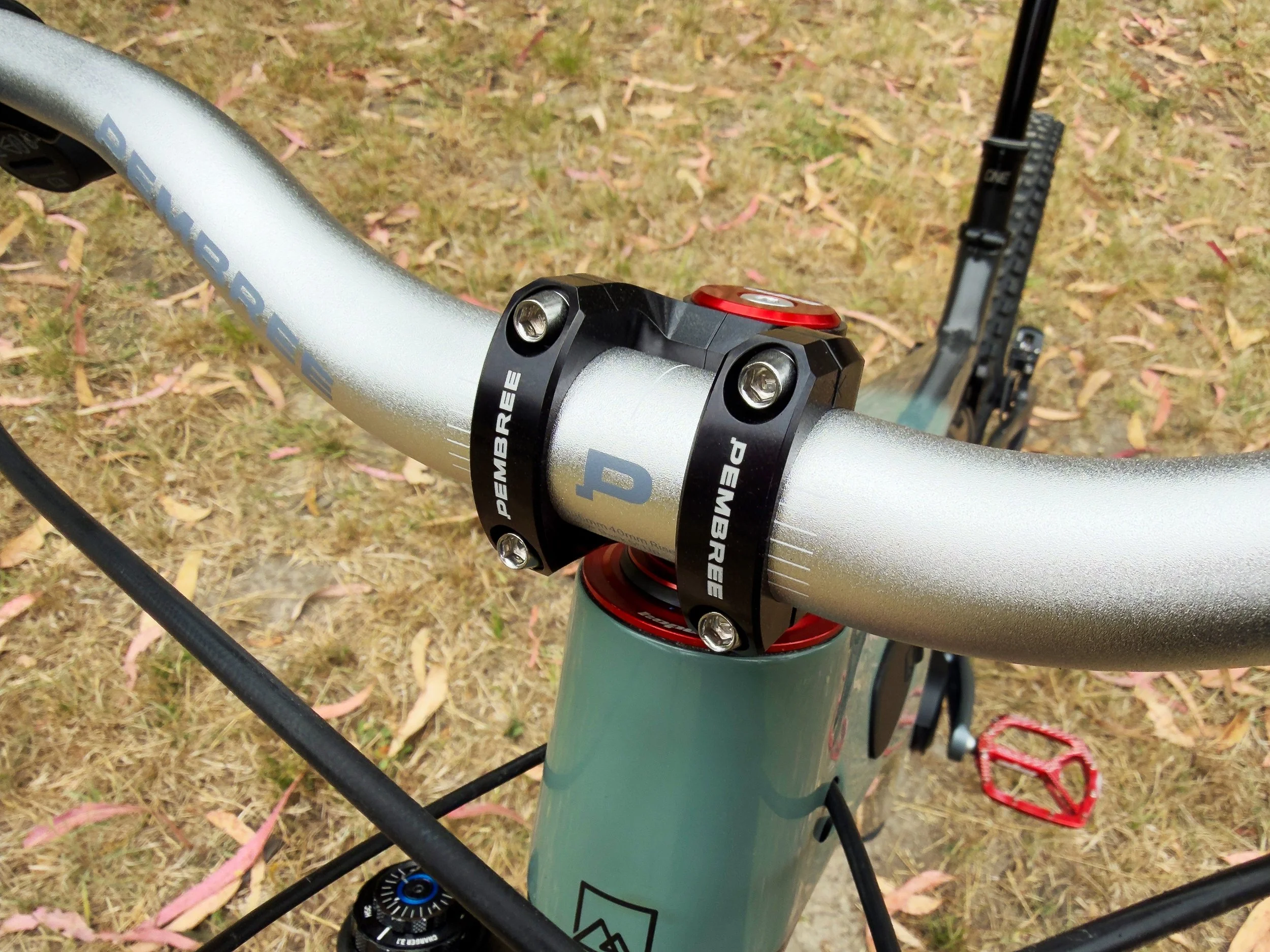 Close-up of a mountain bike's handlebar with black and red suspension components, positioned over a grassy area with scattered pink and yellow leaves.