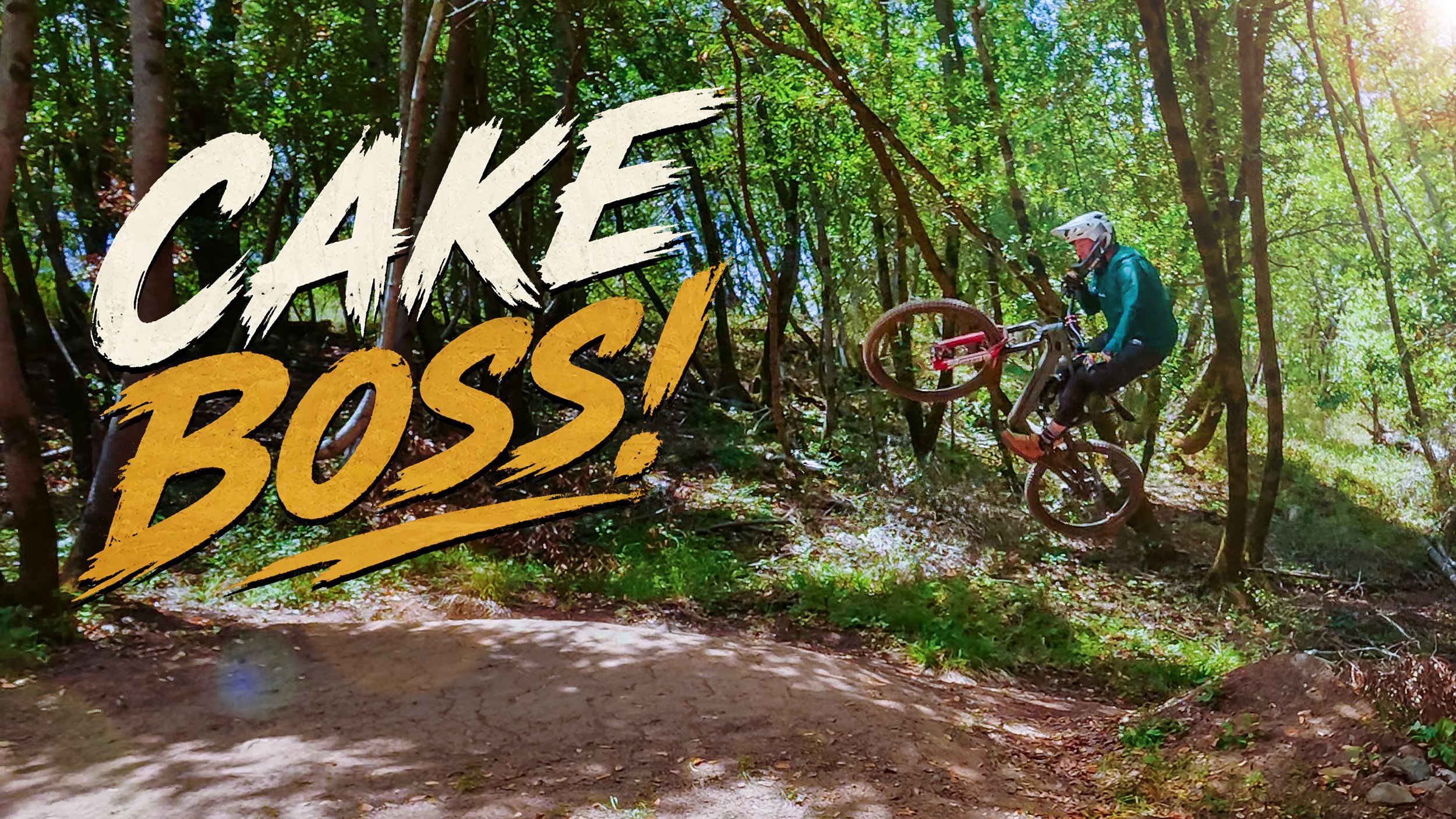 Fairfax Just Opened a NEW Trail — And It Has a Tree Gap!