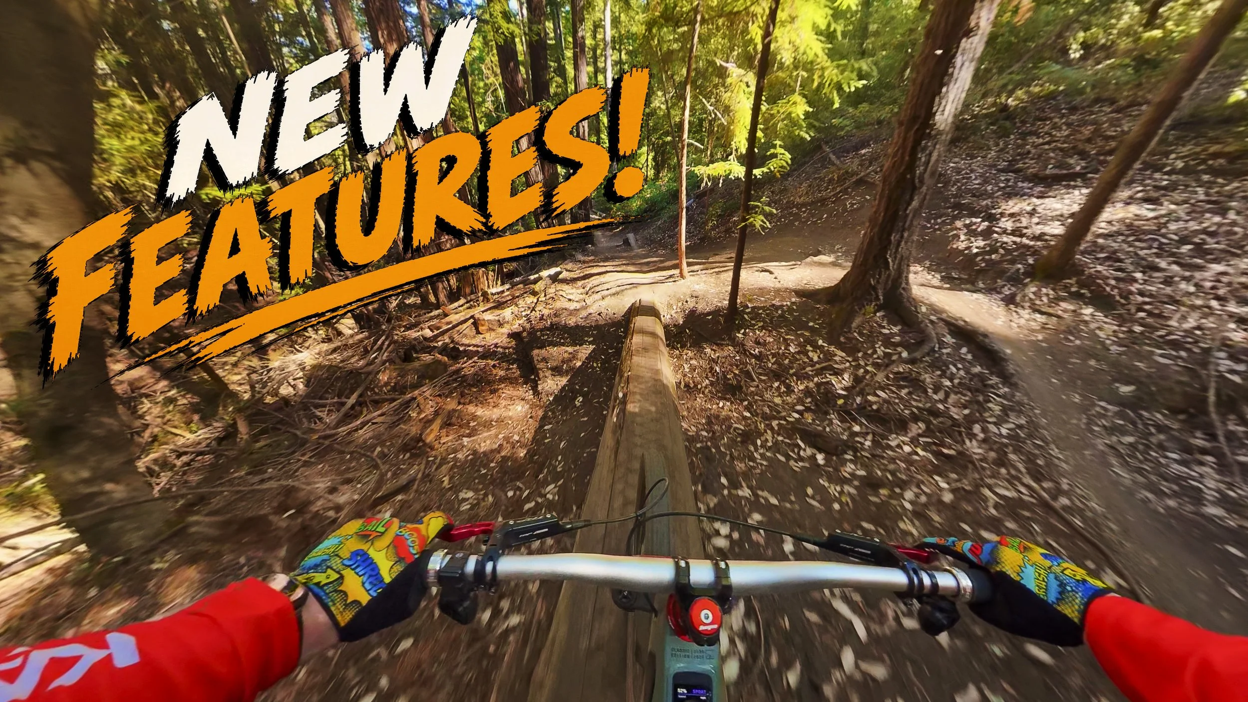 Santa Cruz MTB: Riding the NEW Revamped Braille Trail!