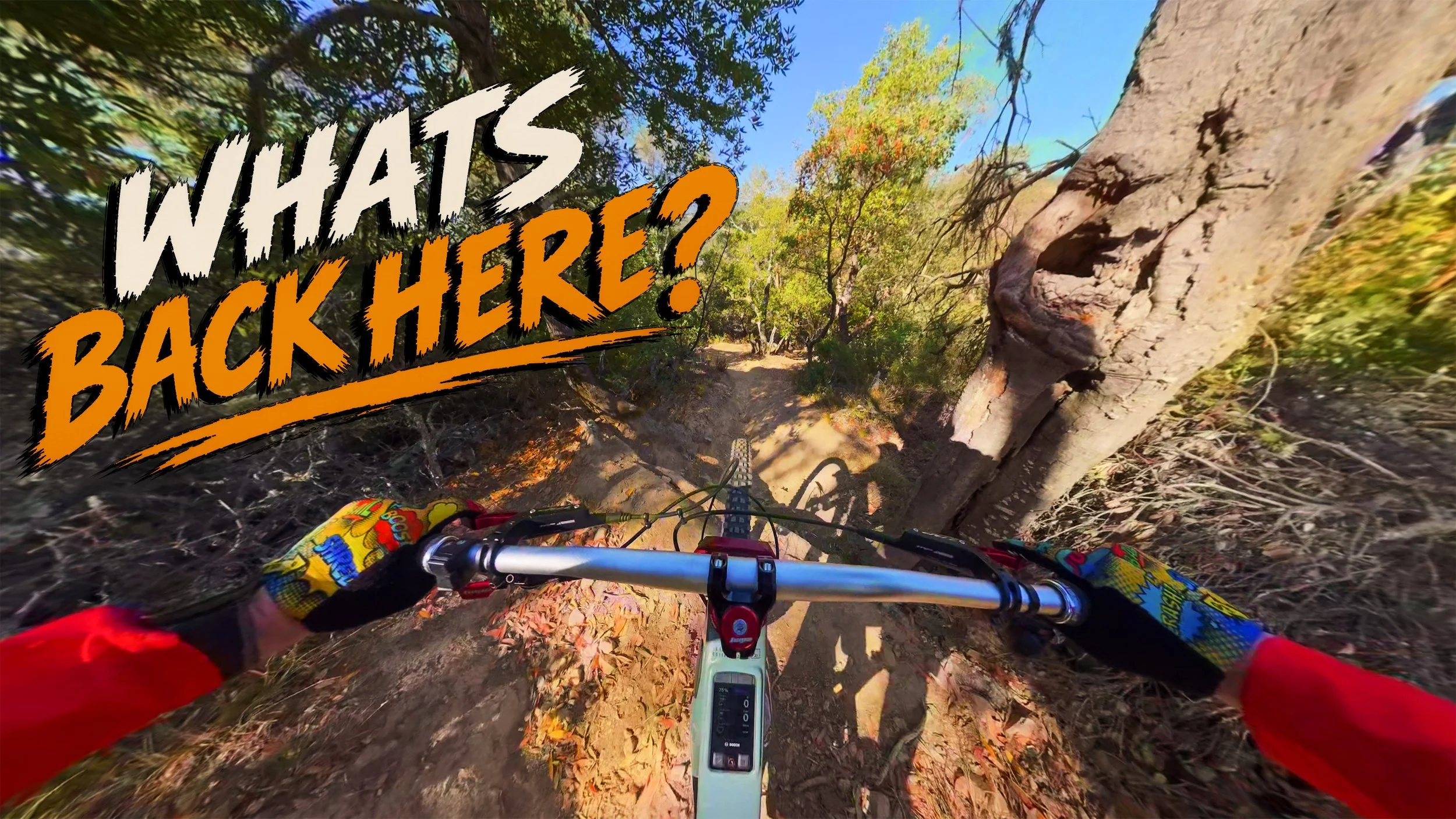 I Found New Trails on the Backside of China Camp!