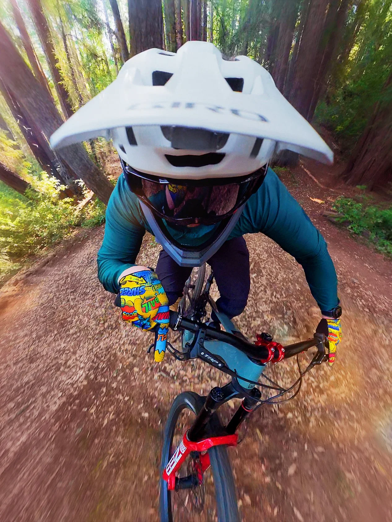 A mountain biker wearing a white helmet and colorful gloves riding through a forest trail with tall trees.