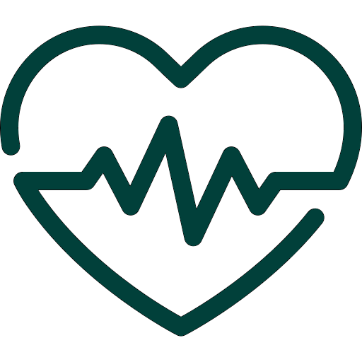 A heart shape with an electrocardiogram line inside it, representing health or heart health.
