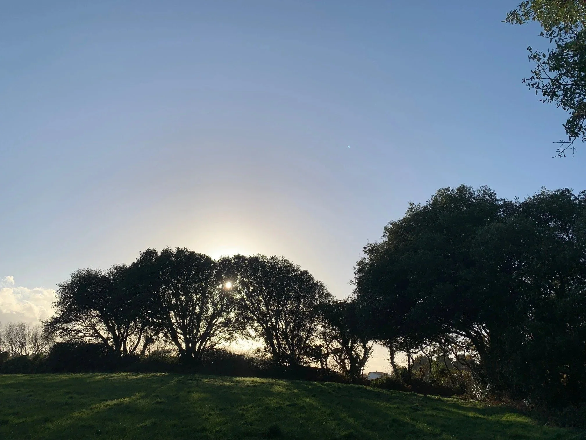 REFLECTIONS ON HARMONY WEEK
