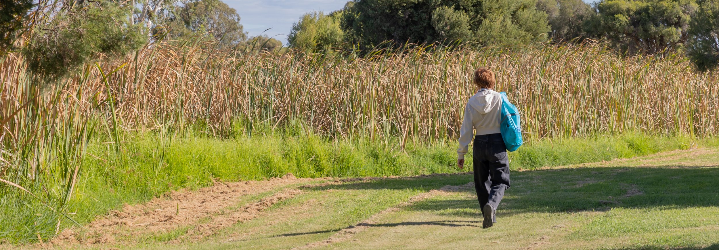 A person walking along a grassy path beside a field of tall, dry grass or reeds, with trees in the background under a partly cloudy sky.