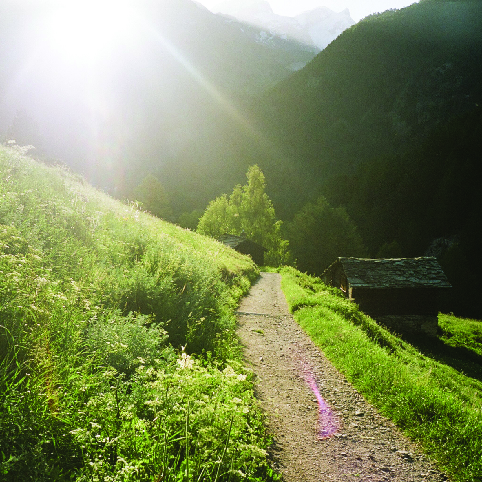 A mountain landscape with lush green trees and a dirt path leading to small wooden cabins, mountains in the background, and sunlight streaming through the sky.