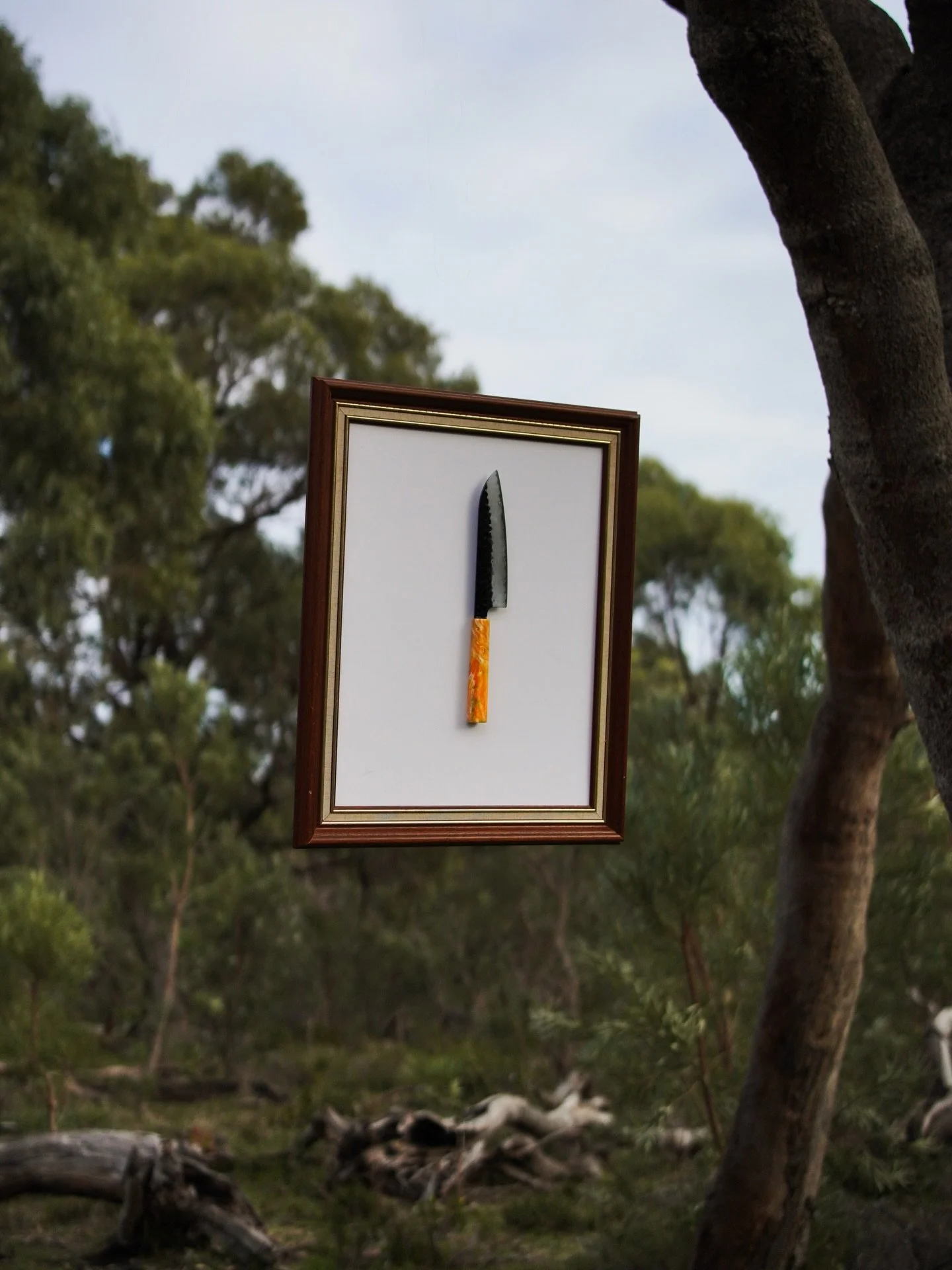 Nature as Gallery. 

&ldquo;CANVASSED&rdquo; dropping 24 July - Early Access in bio.