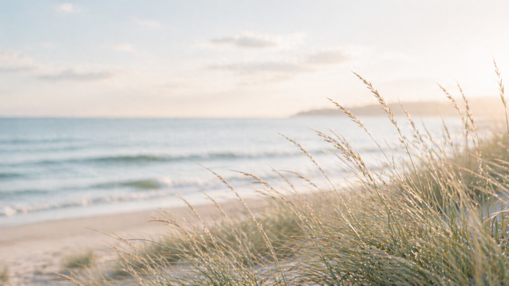 Beach scene with sand, ocean waves, and tall grass in the foreground, during sunset or sunrise.