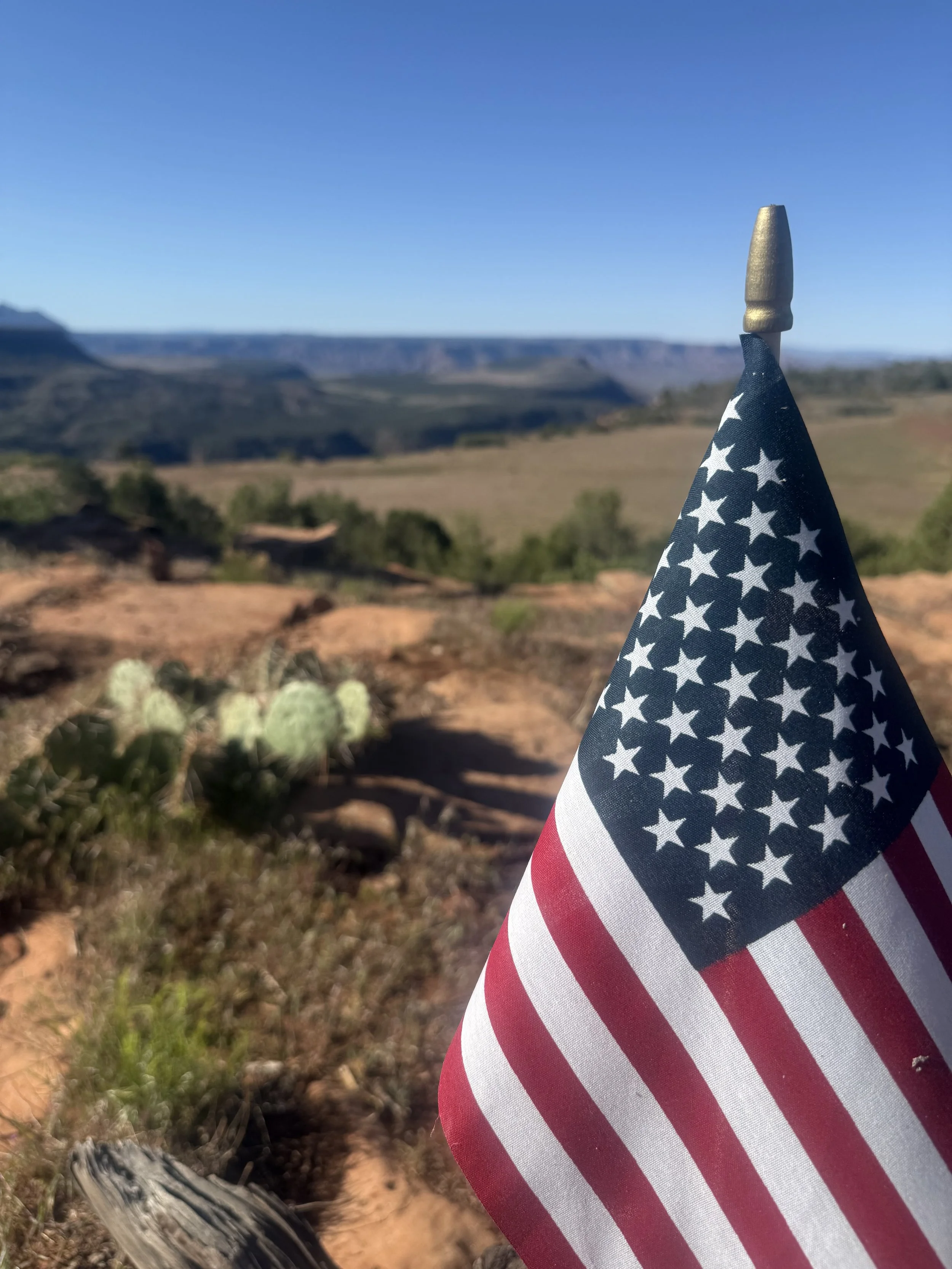 Small American flag in a desert landscape with cacti, rocky terrain, and distant mesas under a clear blue sky.