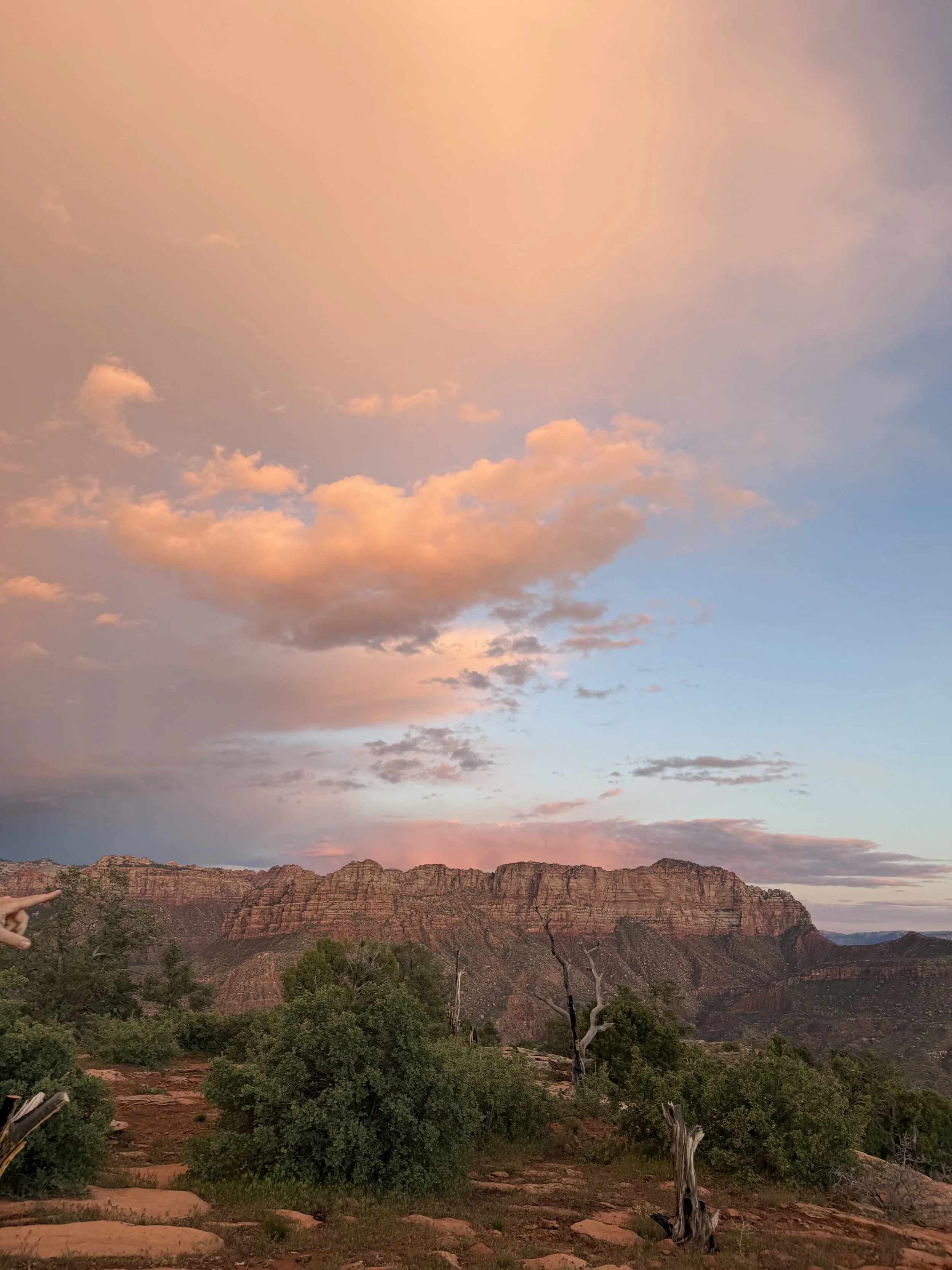 Sunset over a canyon with pink and orange clouds in the sky, green bushes, and a dead tree.