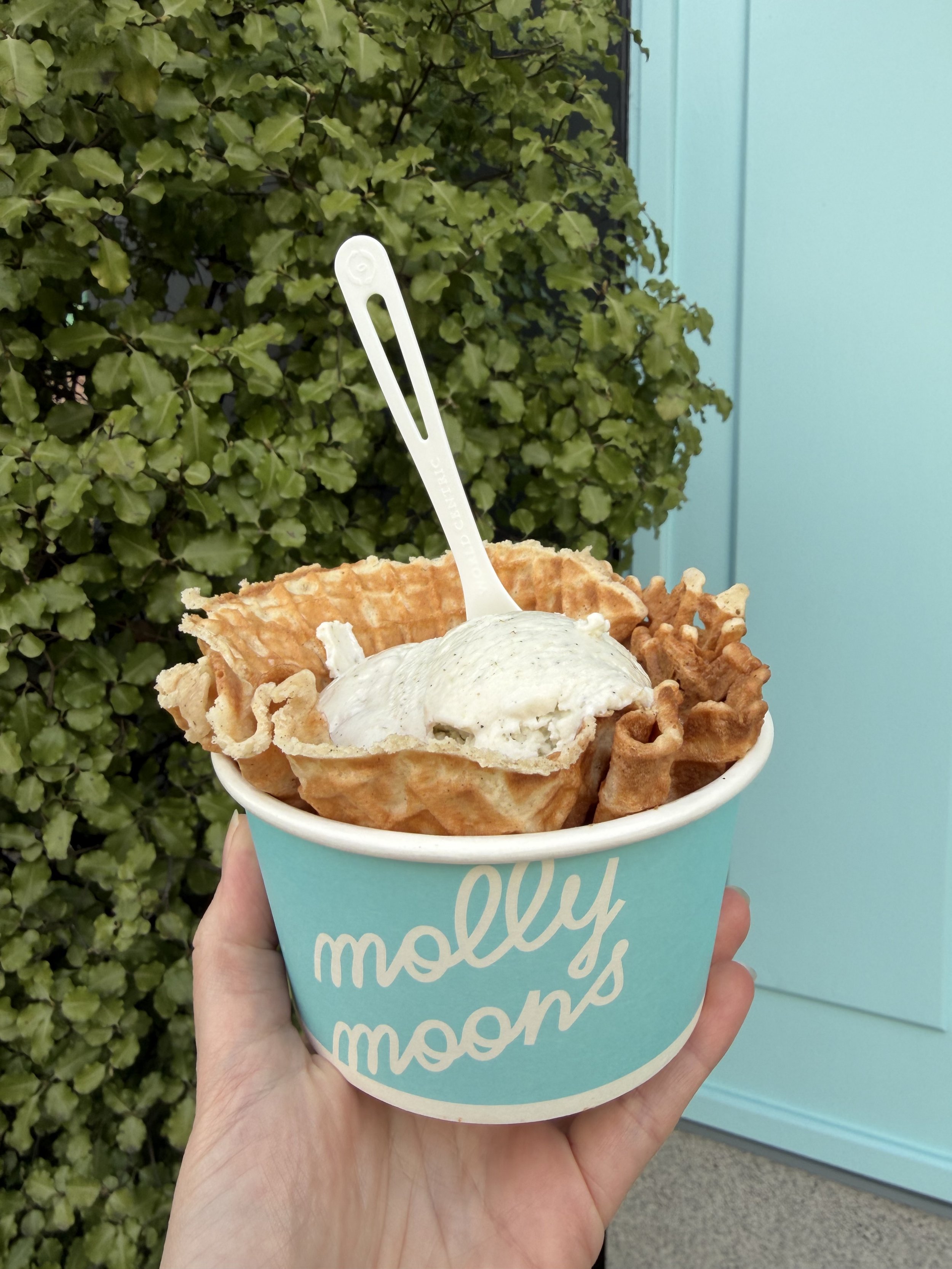 Molly Moon's