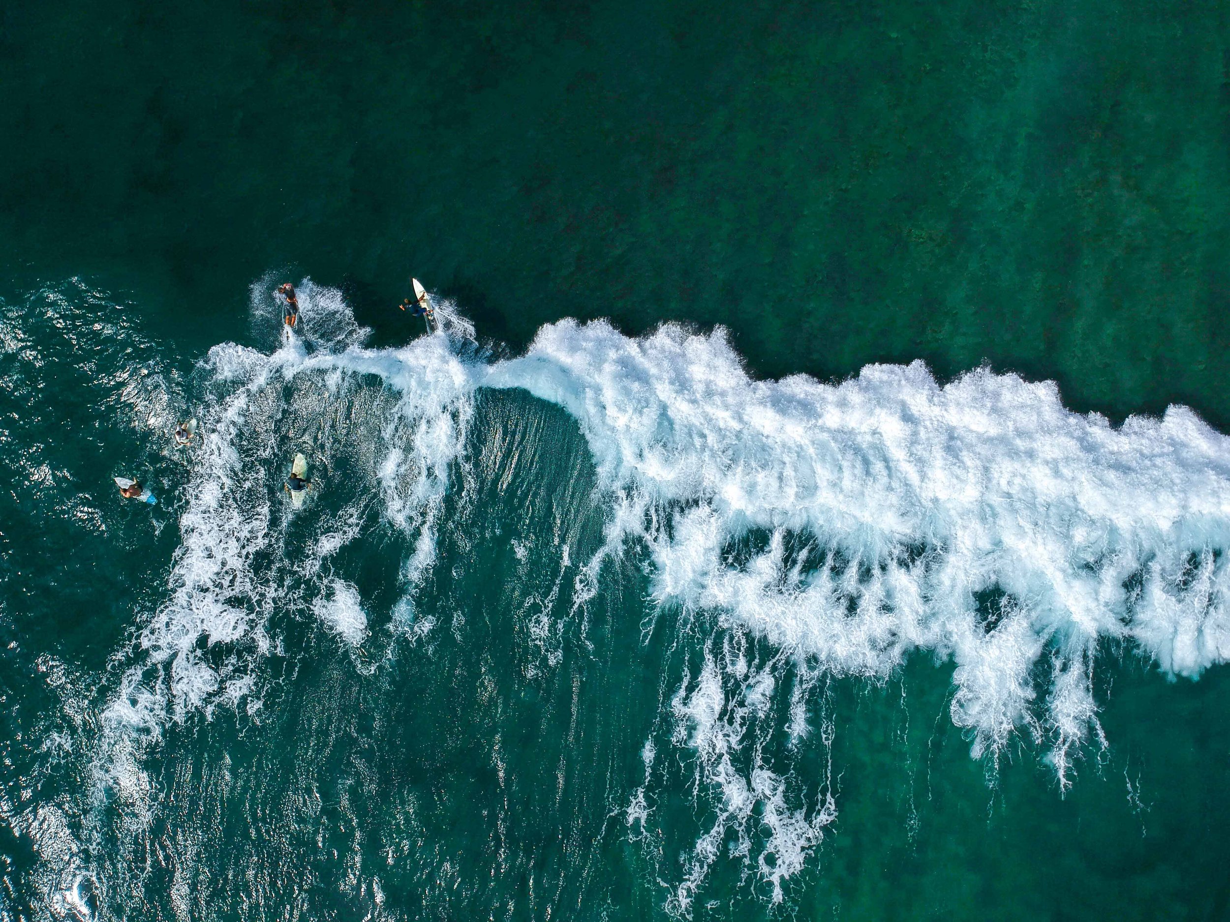 Aerial view of surfers at Lazy Left reef break, Midigama, Sri Lanka