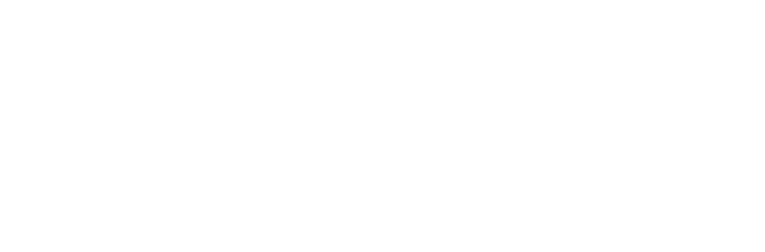 Guardians League