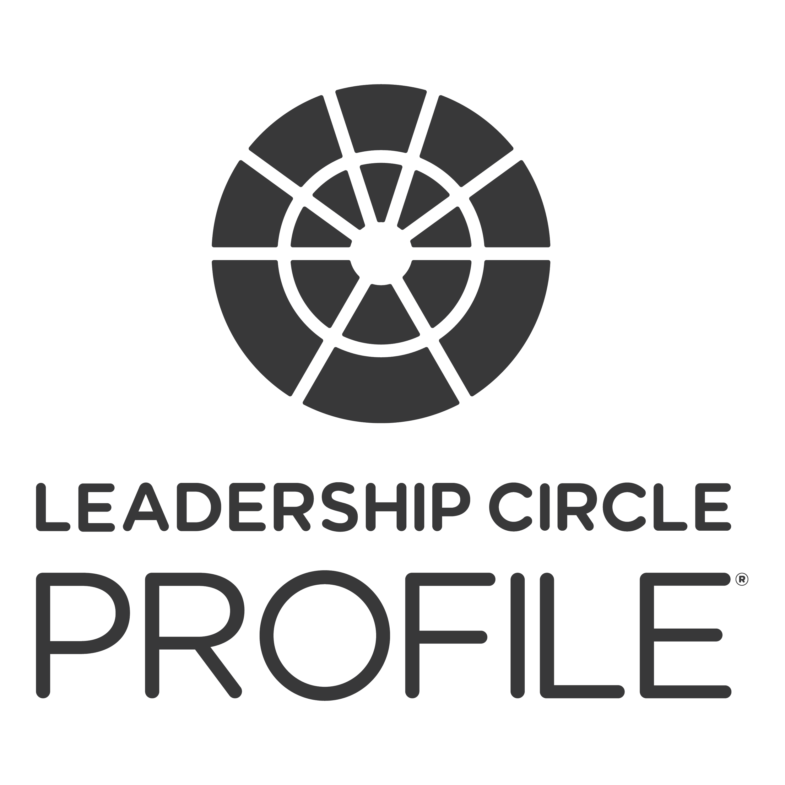 Logo for Leadership Circle featuring a circular geometric design and the text 'LEADERSHIP CIRCLE'.