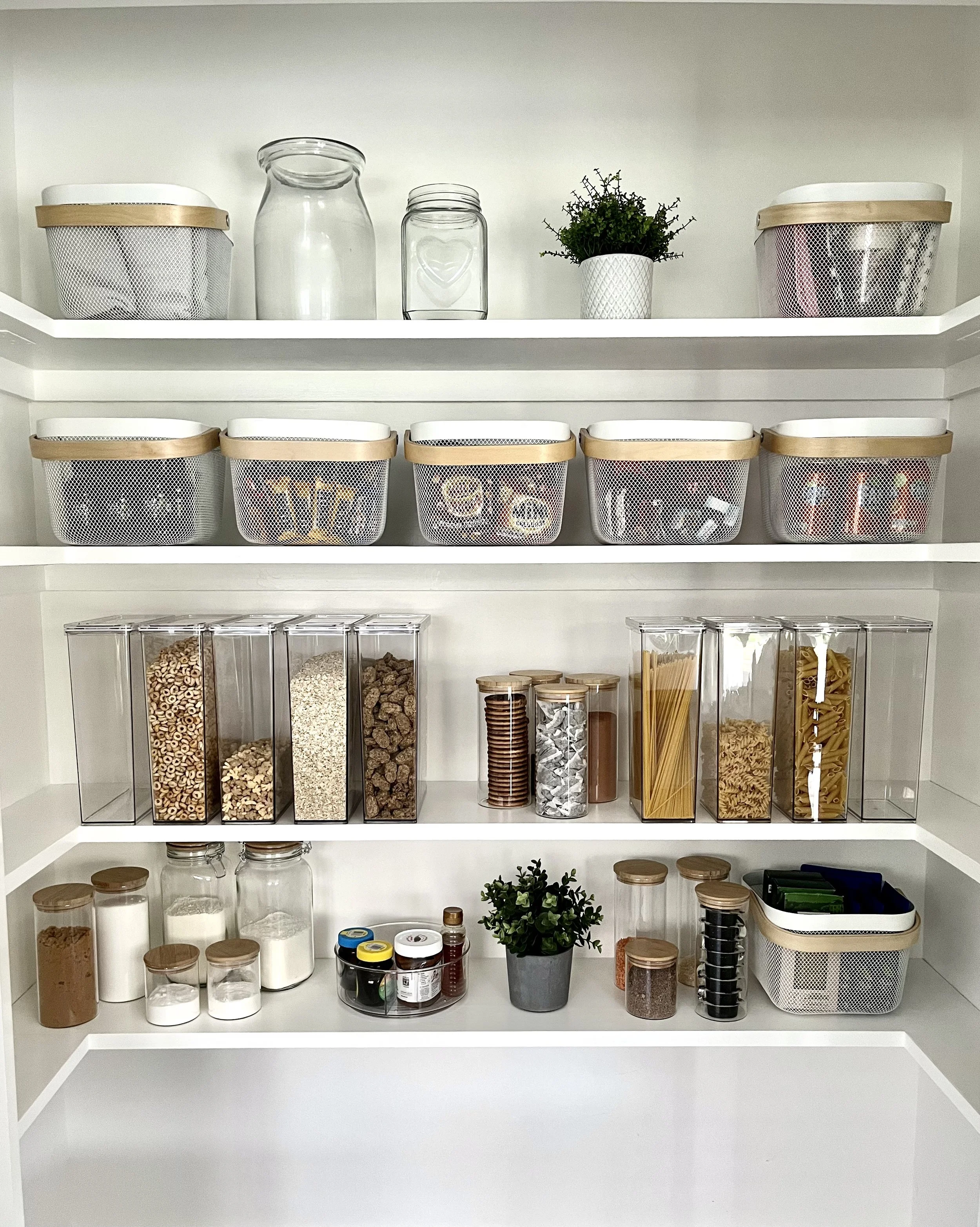 Organised kitchen pantry with several shelves containing glass jars of dry goods, pasta, spices, and a small potted plant, organized and minimalist.