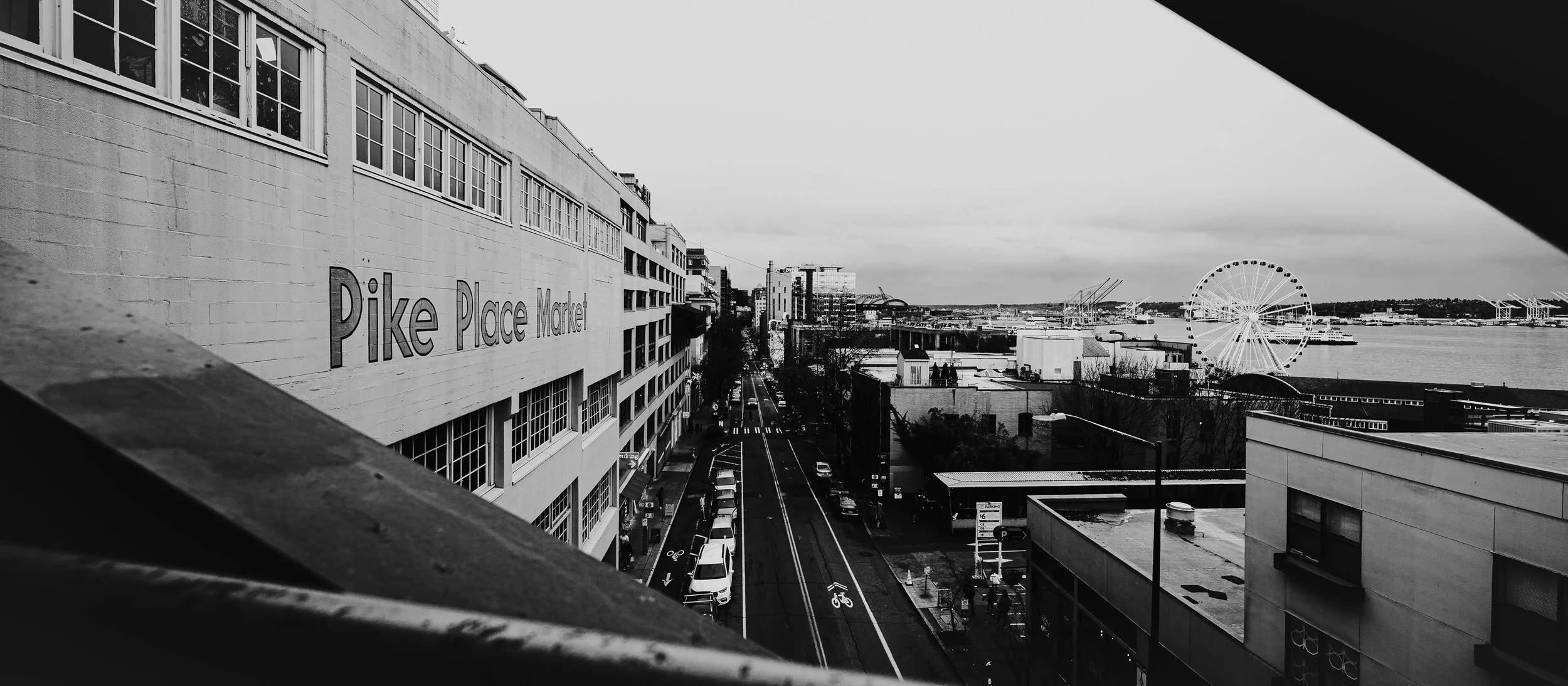NZF_5229.jpg