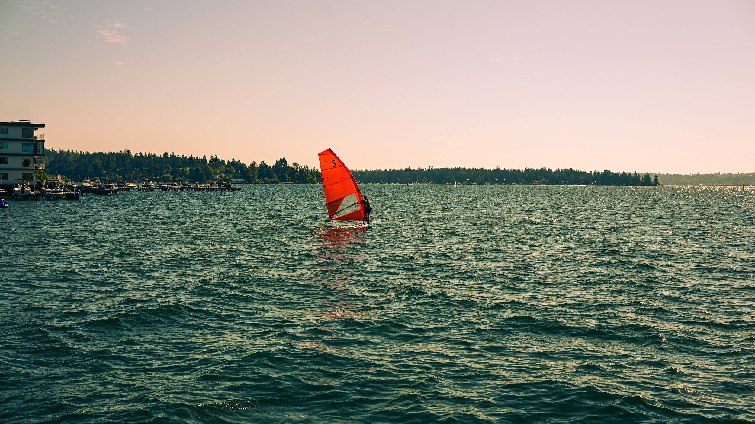 DSC_2909.jpg