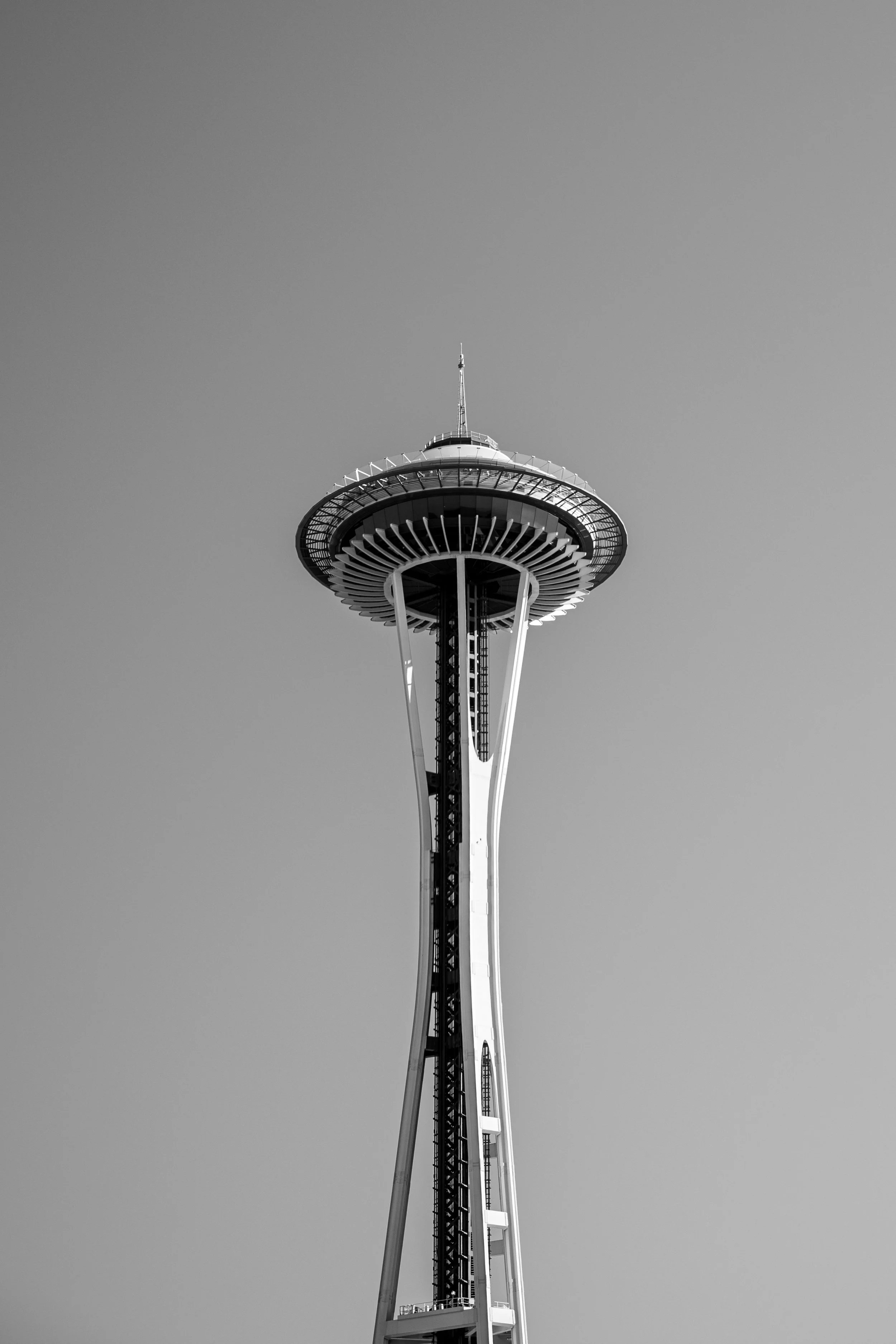 DSC_3741.jpg