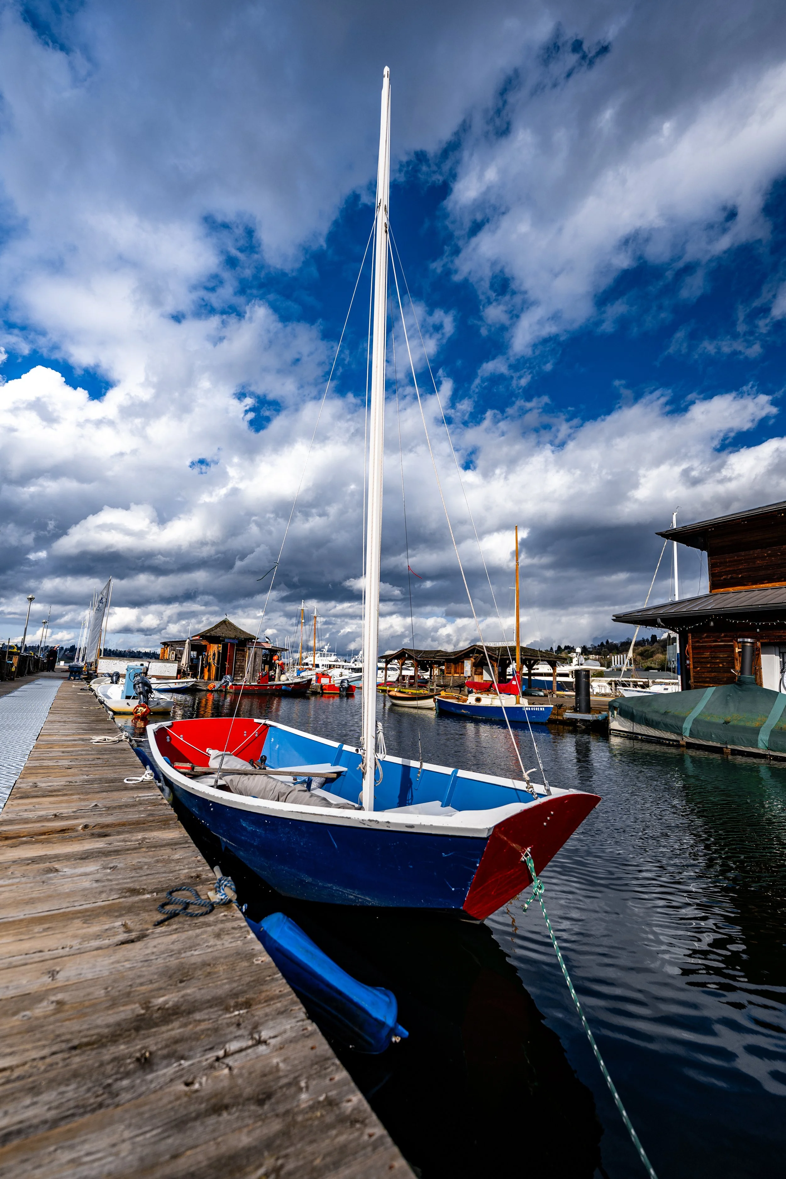 NZF_6902.jpg