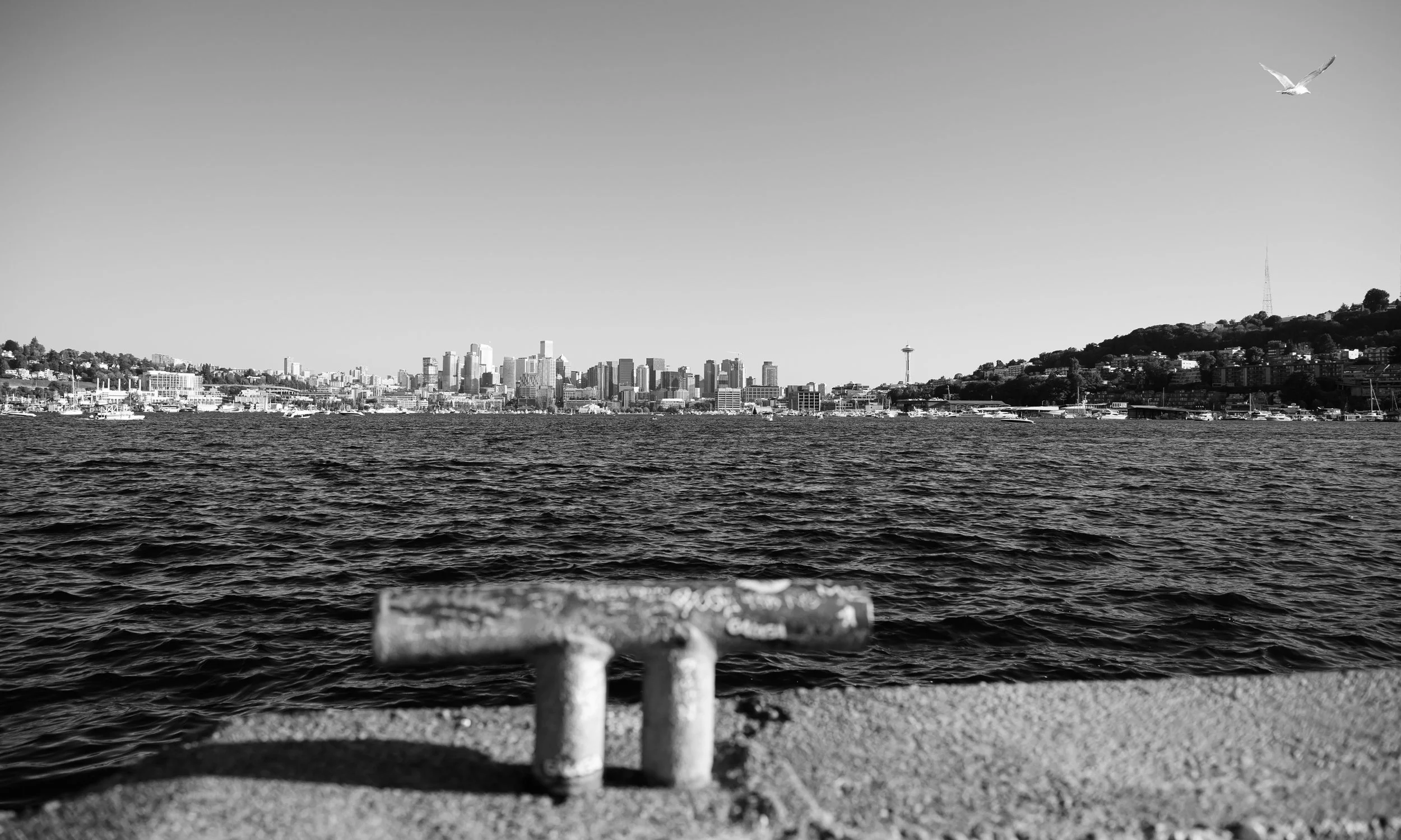 DSC_0708.jpg