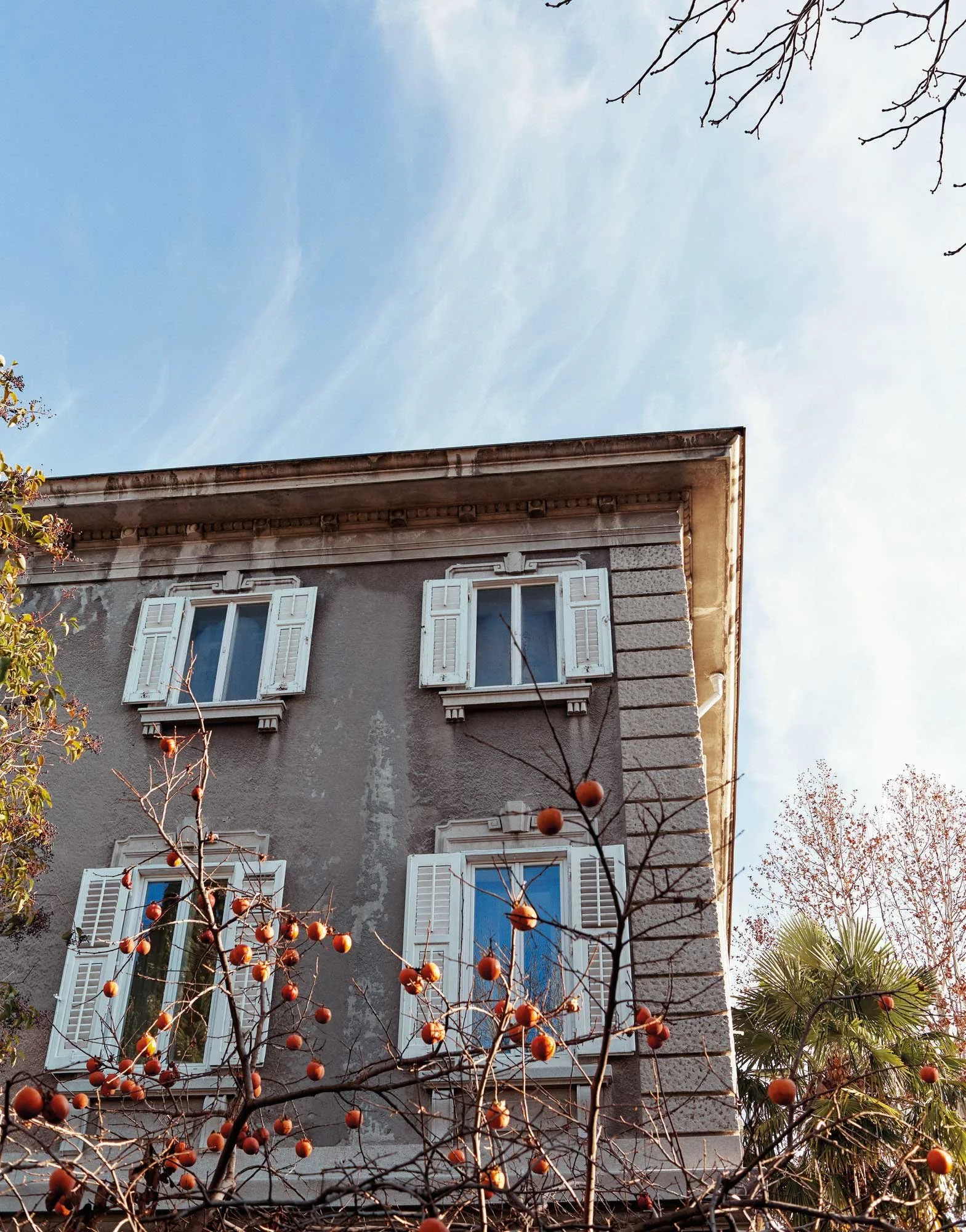 Blick auf ein mehrstöckiges Gebäude mit weißen Fensterläden und grauer Fassade, umgeben von Bäumen mit orangefarbenen Früchten vor einem blauen Himmel.