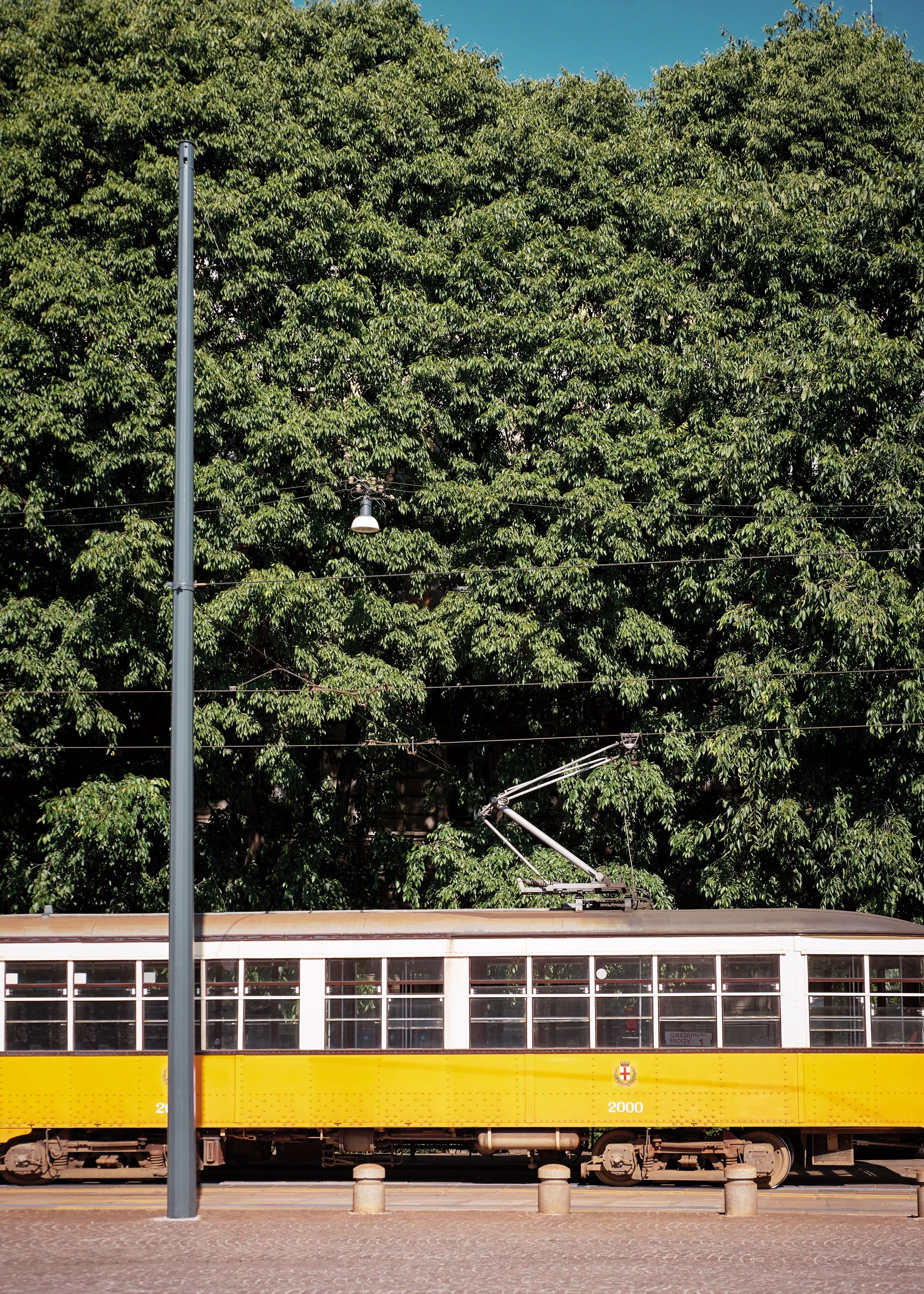 Ein gelber Eisenbahnwagen mit Blick auf die Fenster, im Hintergrund sind Bäume und eine Straßenlaterne sichtbar.