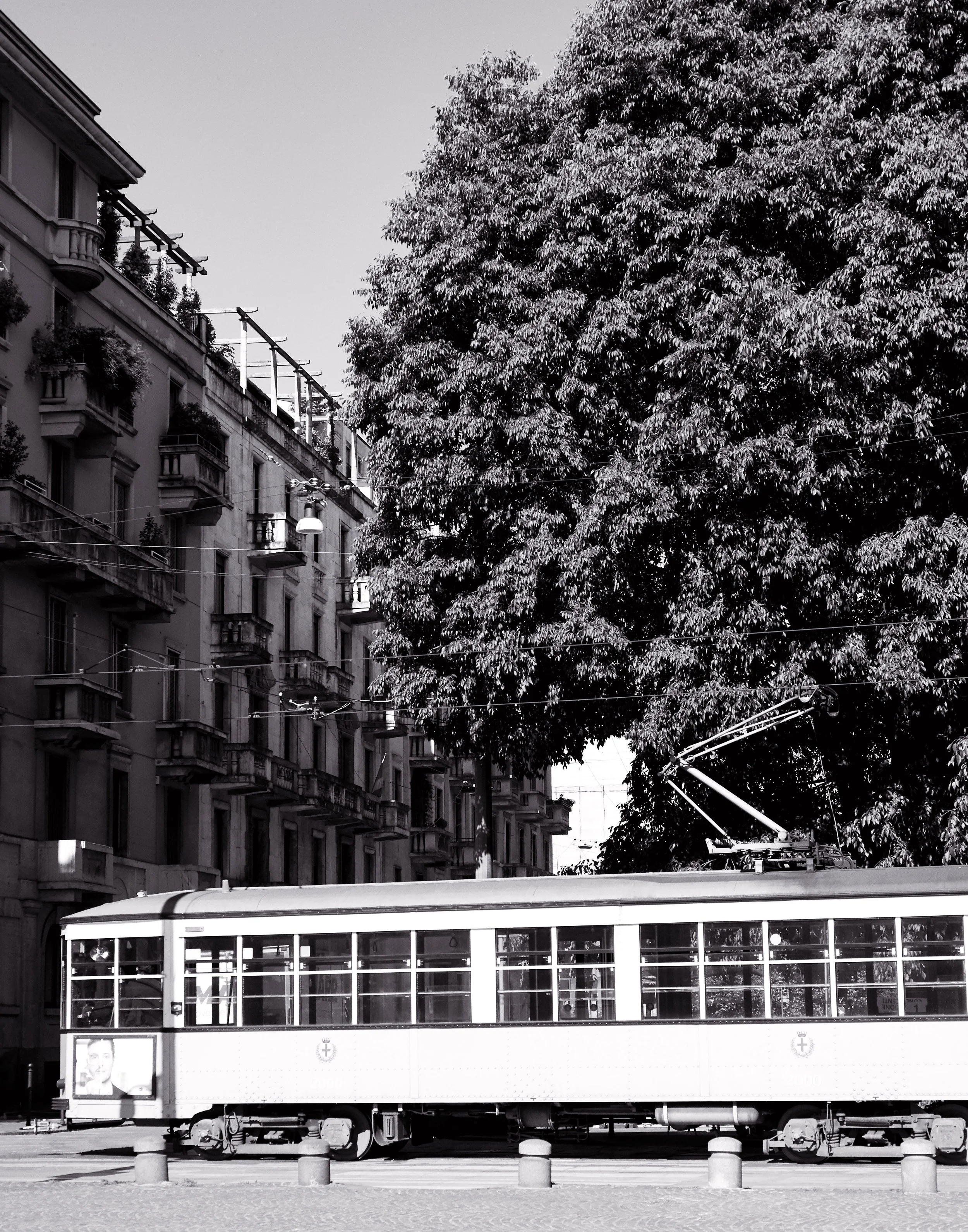 Ein Bus fährt durch eine Stadt mit mehrstöckigen Gebäuden auf der linken Seite und einem großen Baum auf der rechten Seite. Der Himmel ist klar.