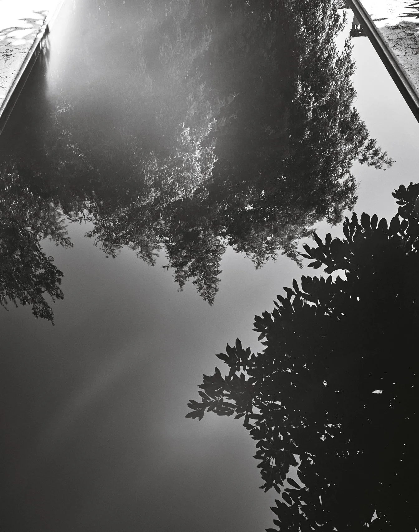 Schwarz-weiß Fotografie eines dramatischen Himmels mit Wolken, die sich in einer ruhigen, reflektierenden Wasseroberfläche spiegeln. Umrahmt von Bäumen und filigranen Zweigen entsteht eine minimalistische und stimmungsvolle Naturlandschaft mit starke