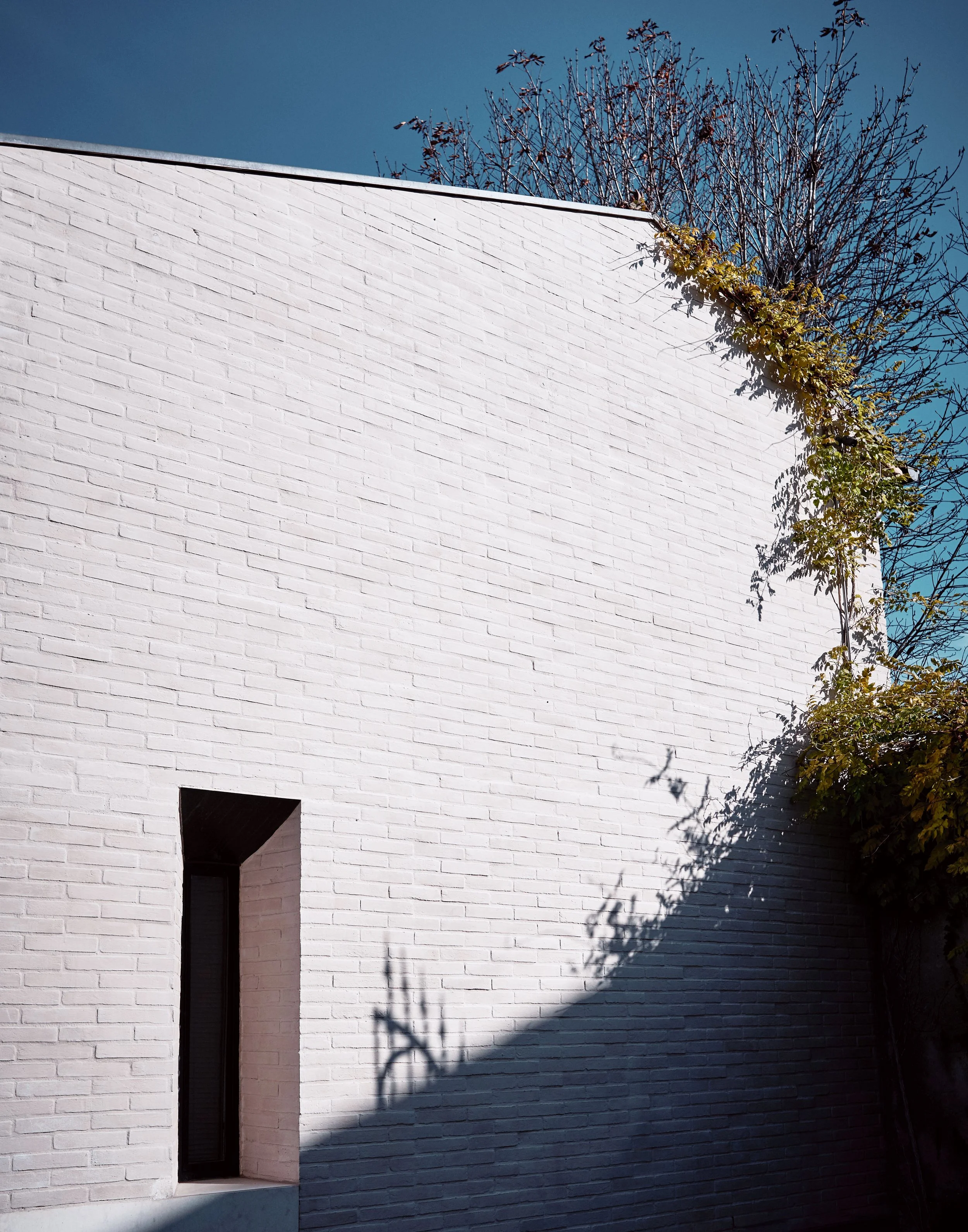 Weiße moderne Gebäudefassade mit kleinen, rechteckigen Ziegeln, eine vertikale Fensteröffnung und Schatten eines Baumes auf der Wand, blauer Himmel im Hintergrund.
