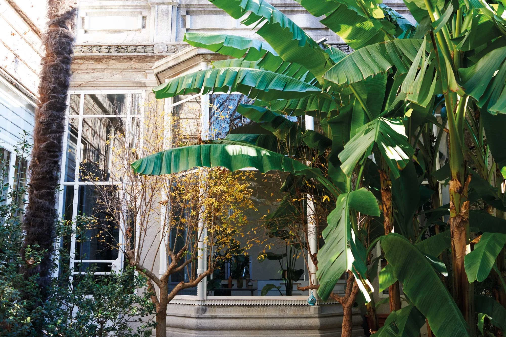 Garten mit tropischen Pflanzen vor einem Haus mit Balkon und großen Fenstern.