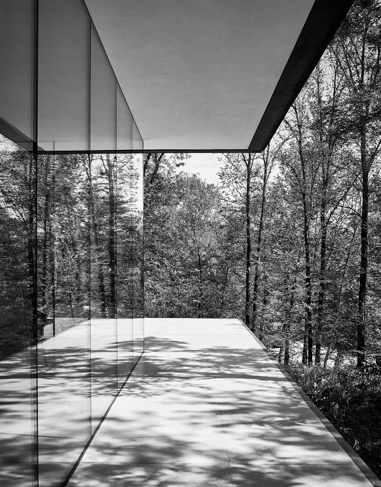 Moderne Glasfassade eines Gebäudes mit Ausblick auf einen Wald mit Bäumen im Hintergrund
