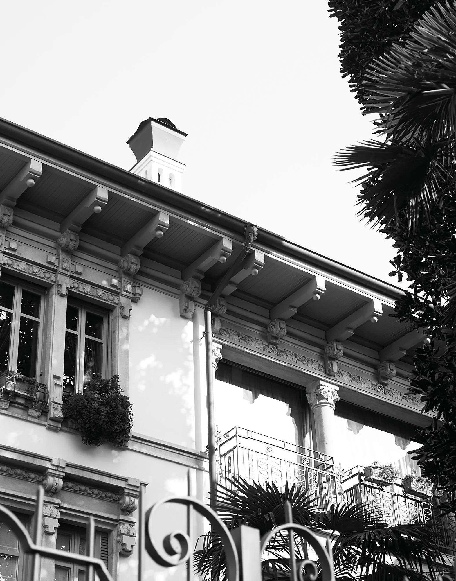 Schwarz-weiß-Bild eines Gebäudes mit klassischer Architektur, Balkon mit balustrade, große Fenster und eine dichte Pflanze im Vordergrund, Blick nach oben auf den Himmel.
