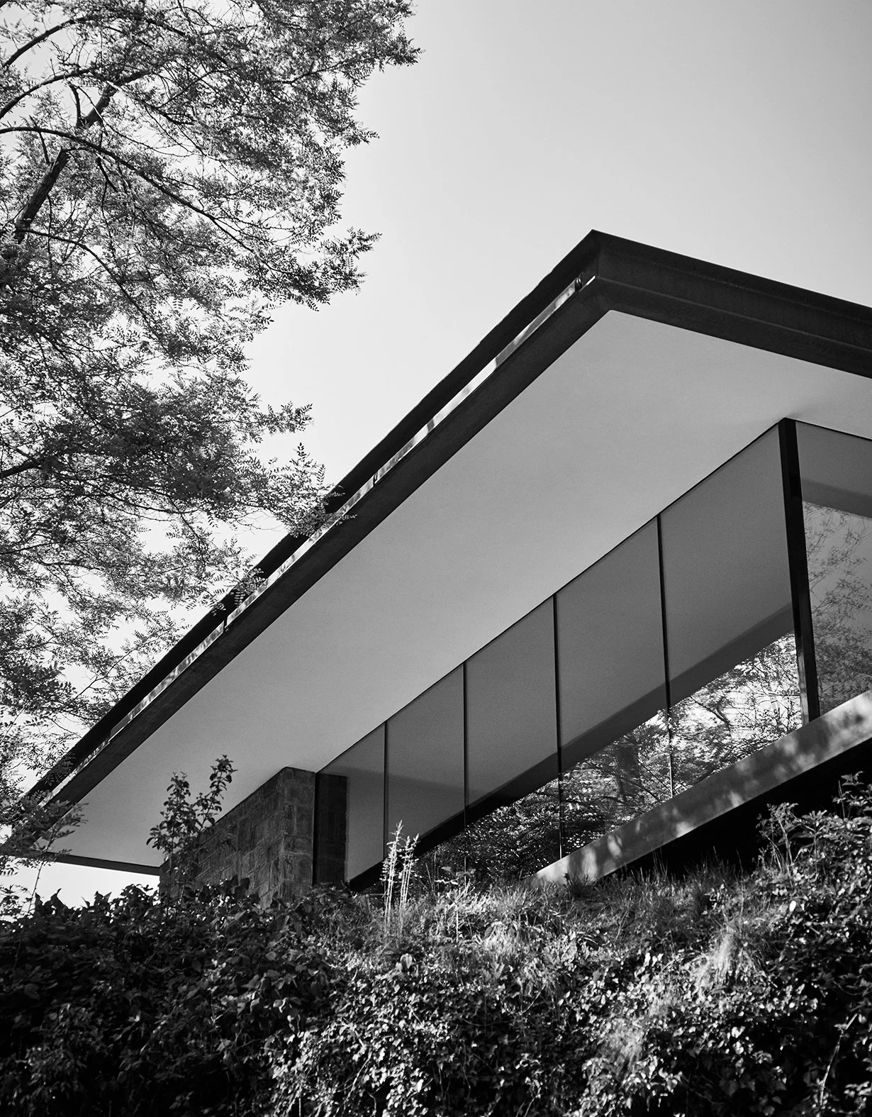 Schwarz-weiß-Foto eines modernen Hauses mit großen Glasfenstern, das auf einer Anhöhe gebaut ist, umgeben von Bäumen und Vegetation.