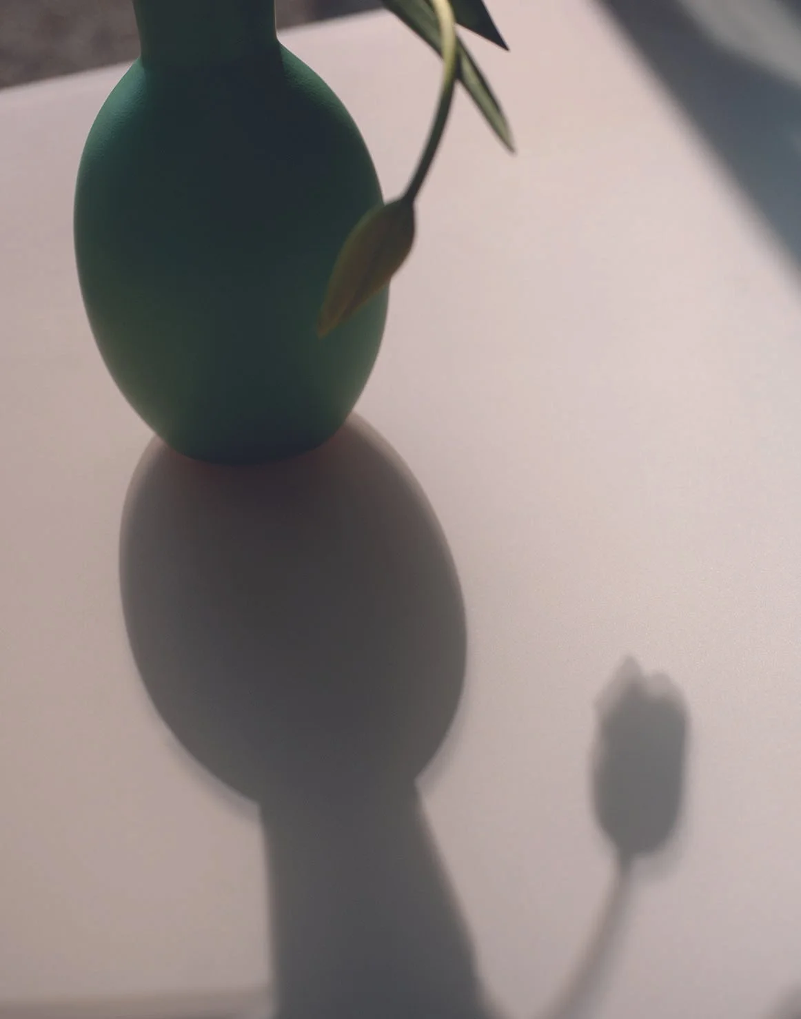 Ein grüner Keramikvase mit einem Zweig mit Blättern, auf einem weißen Tisch. Der Schatten der Vase und des Zweigs ist auf dem Tisch sichtbar.